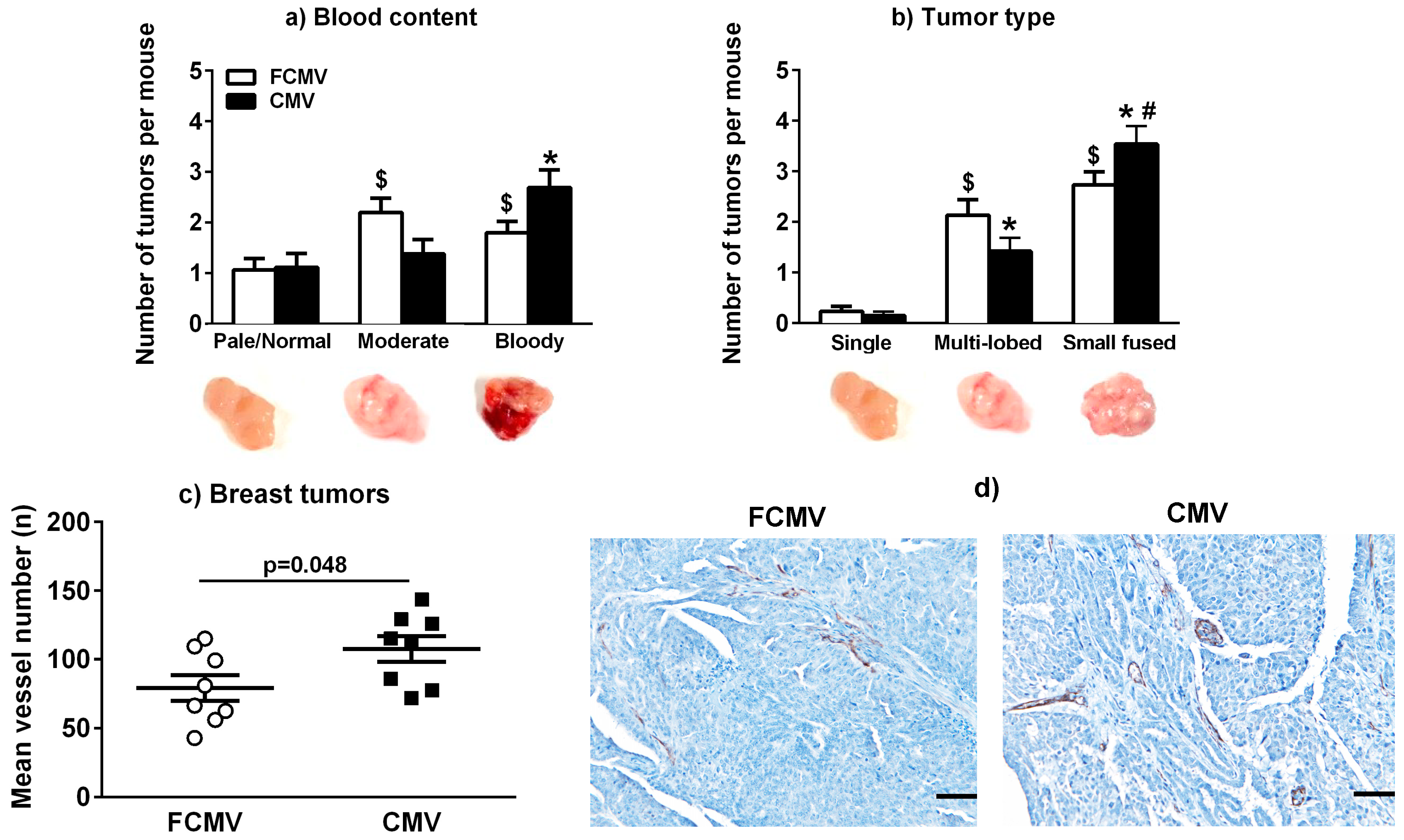Cancers 11 00447 g002