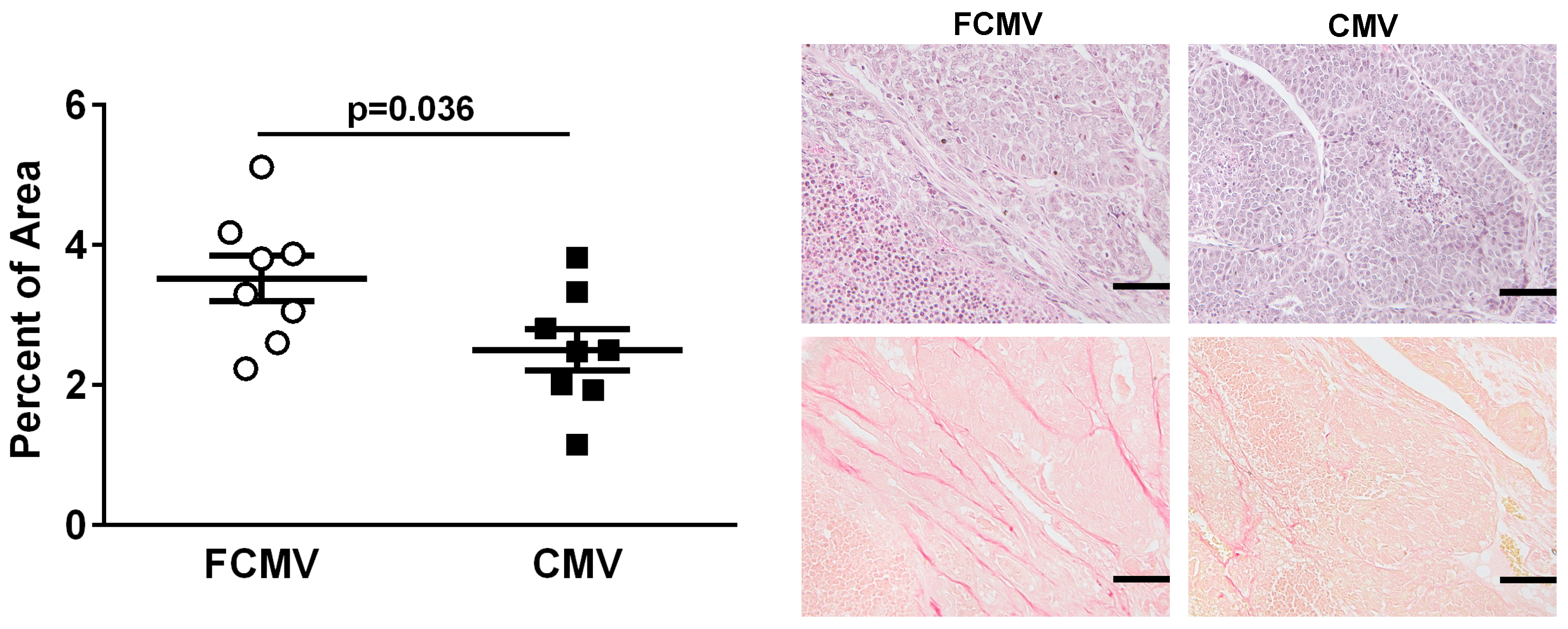 Cancers 11 00447 g003