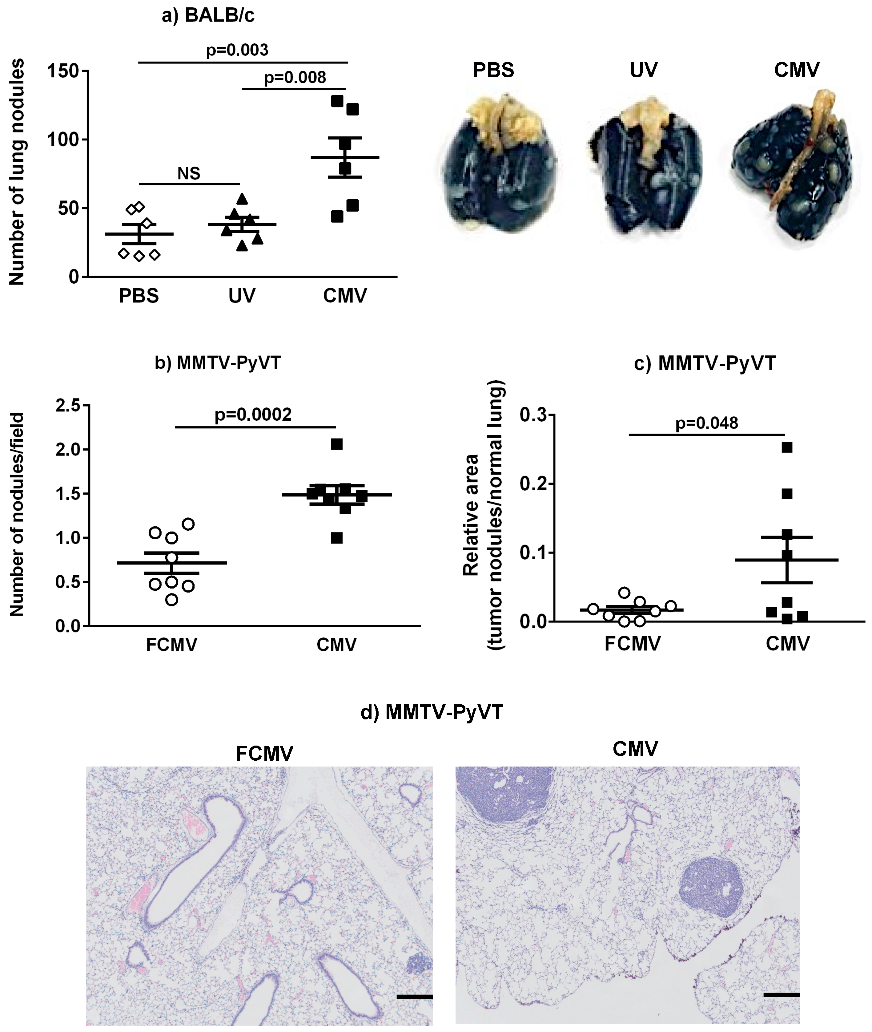 Cancers 11 00447 g004