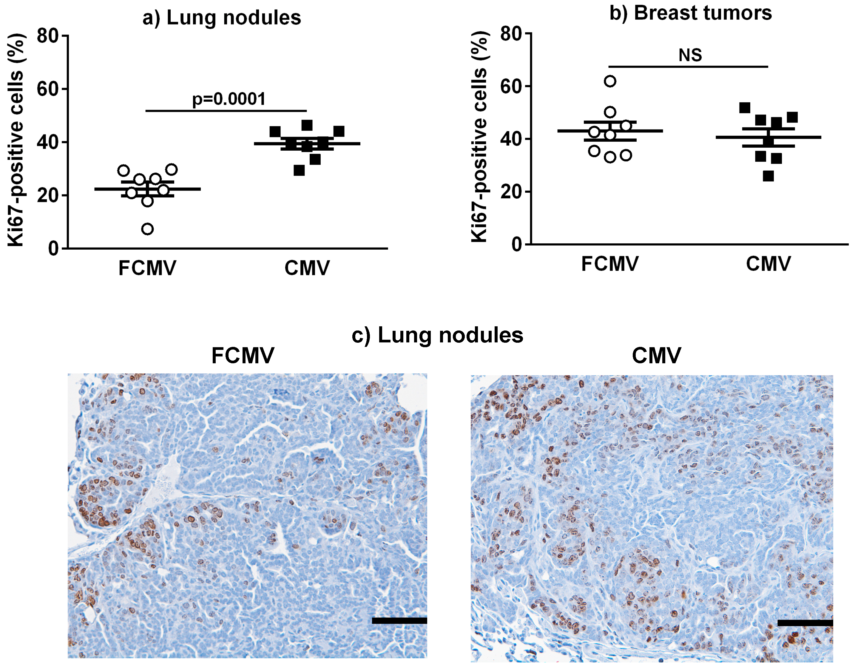 Cancers 11 00447 g005