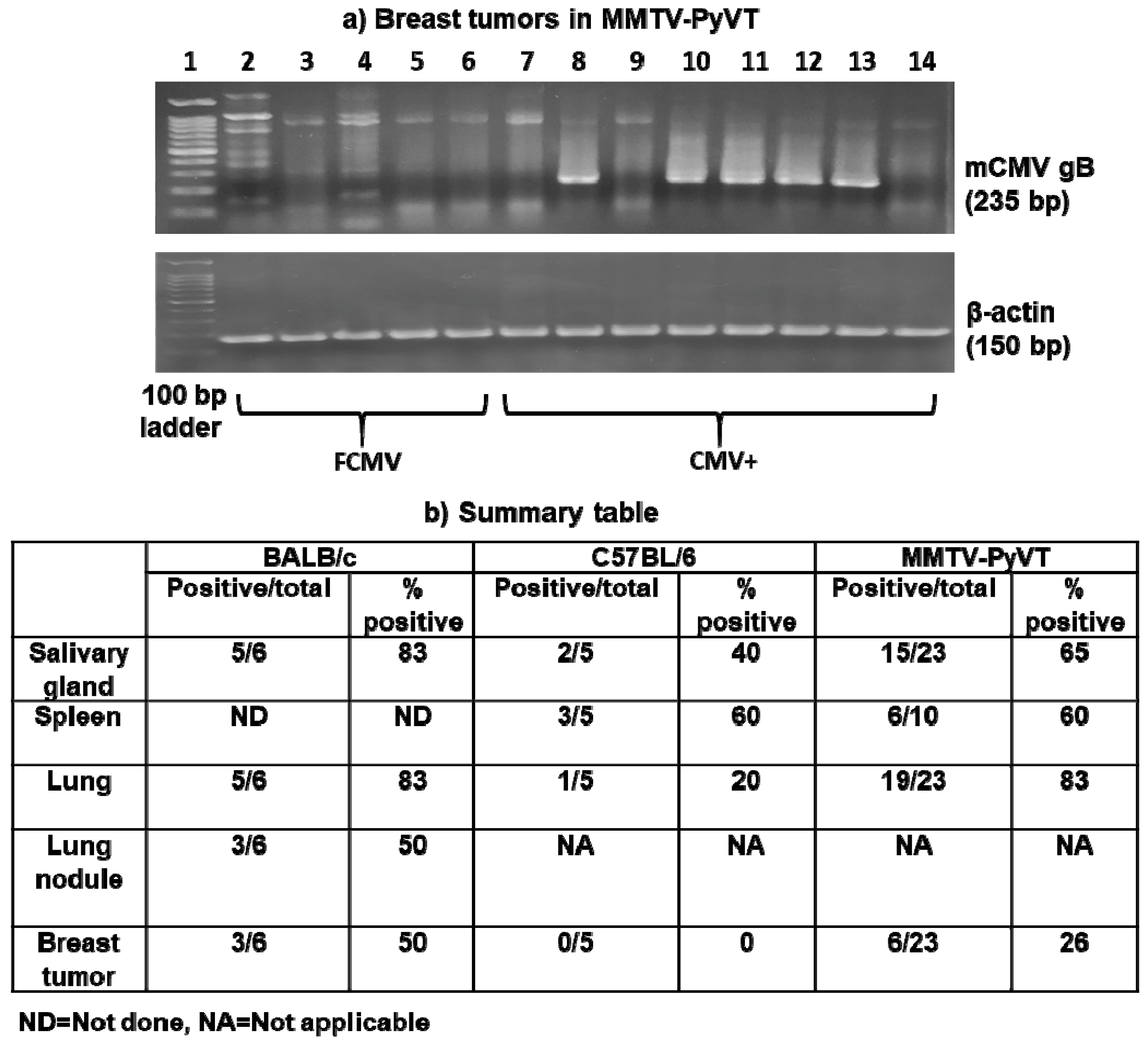 Cancers 11 00447 g006