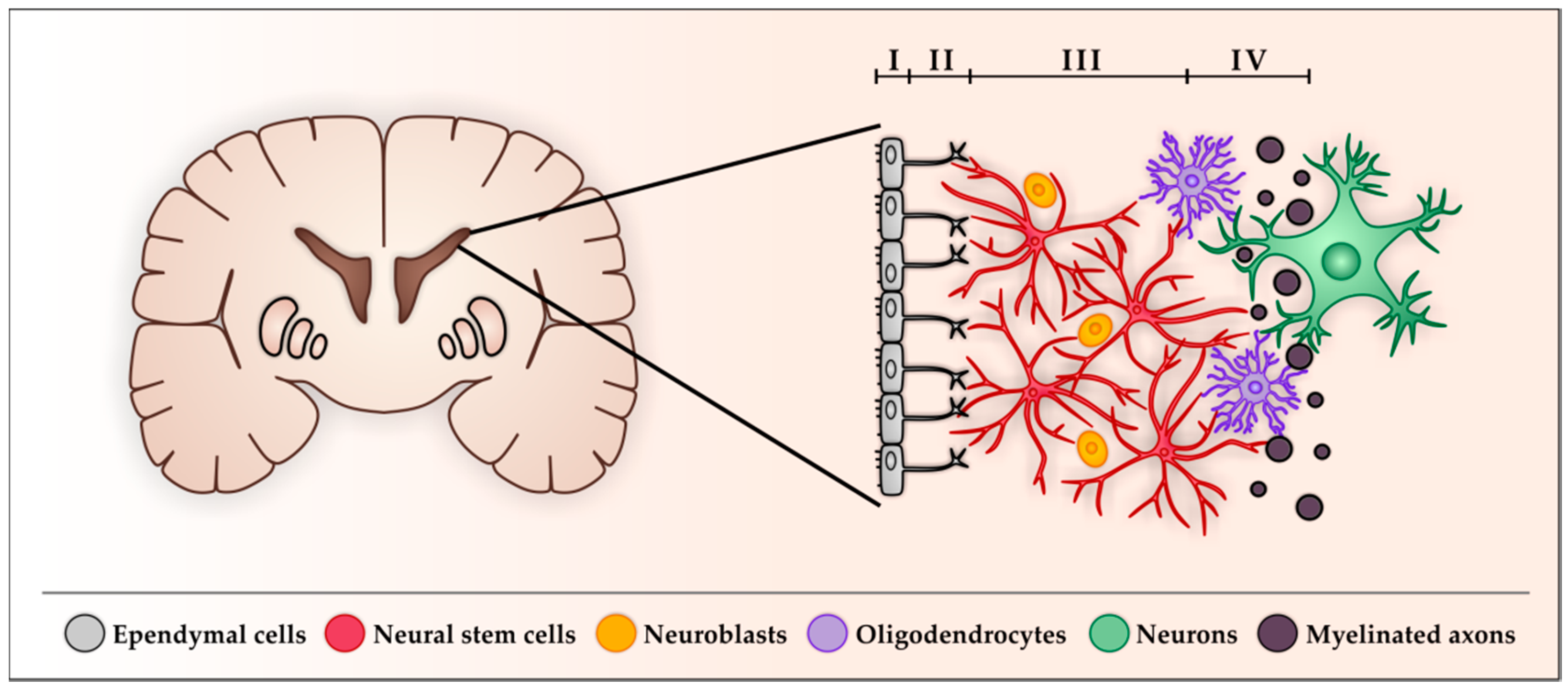 Cancers 11 00448 g001