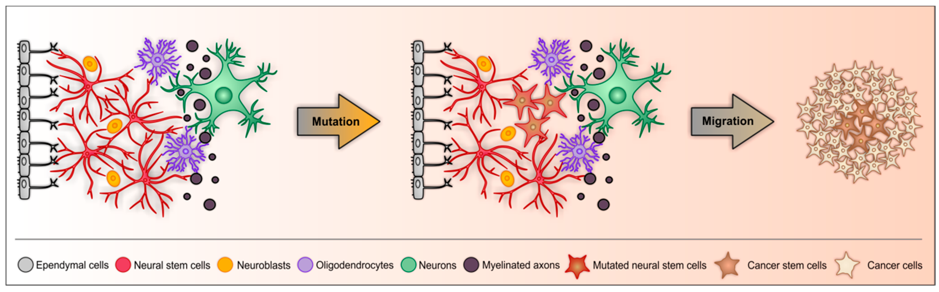 Cancers 11 00448 g002