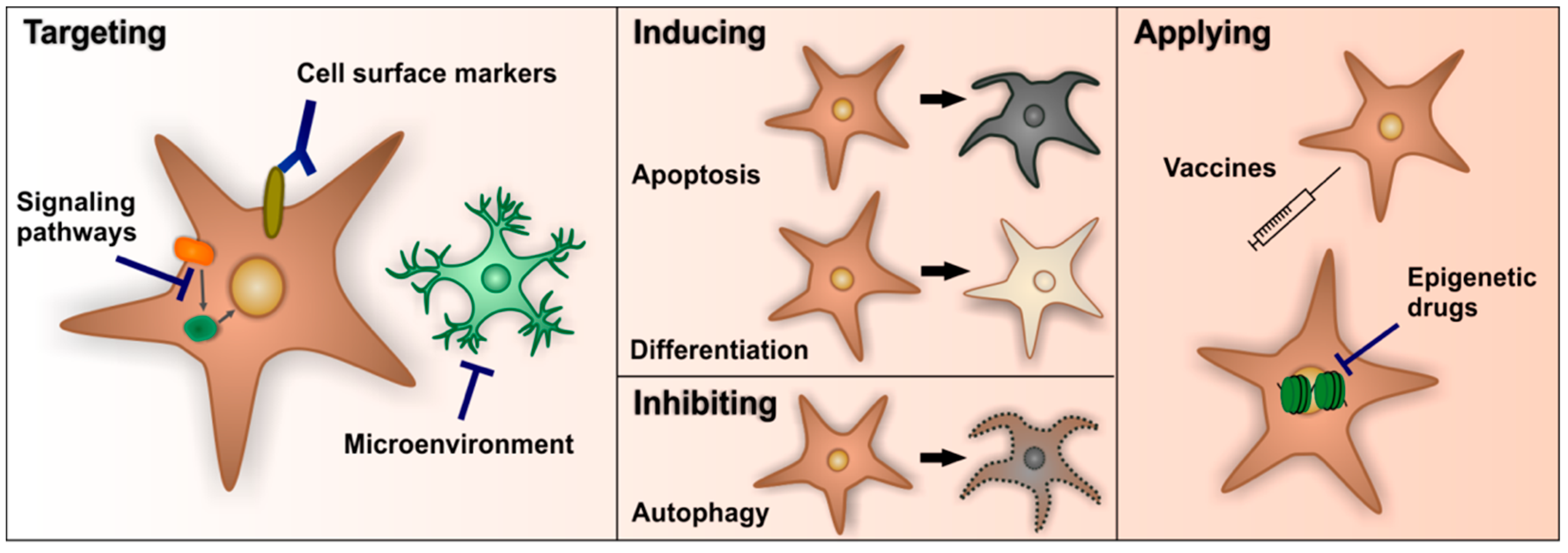 Cancers 11 00448 g003