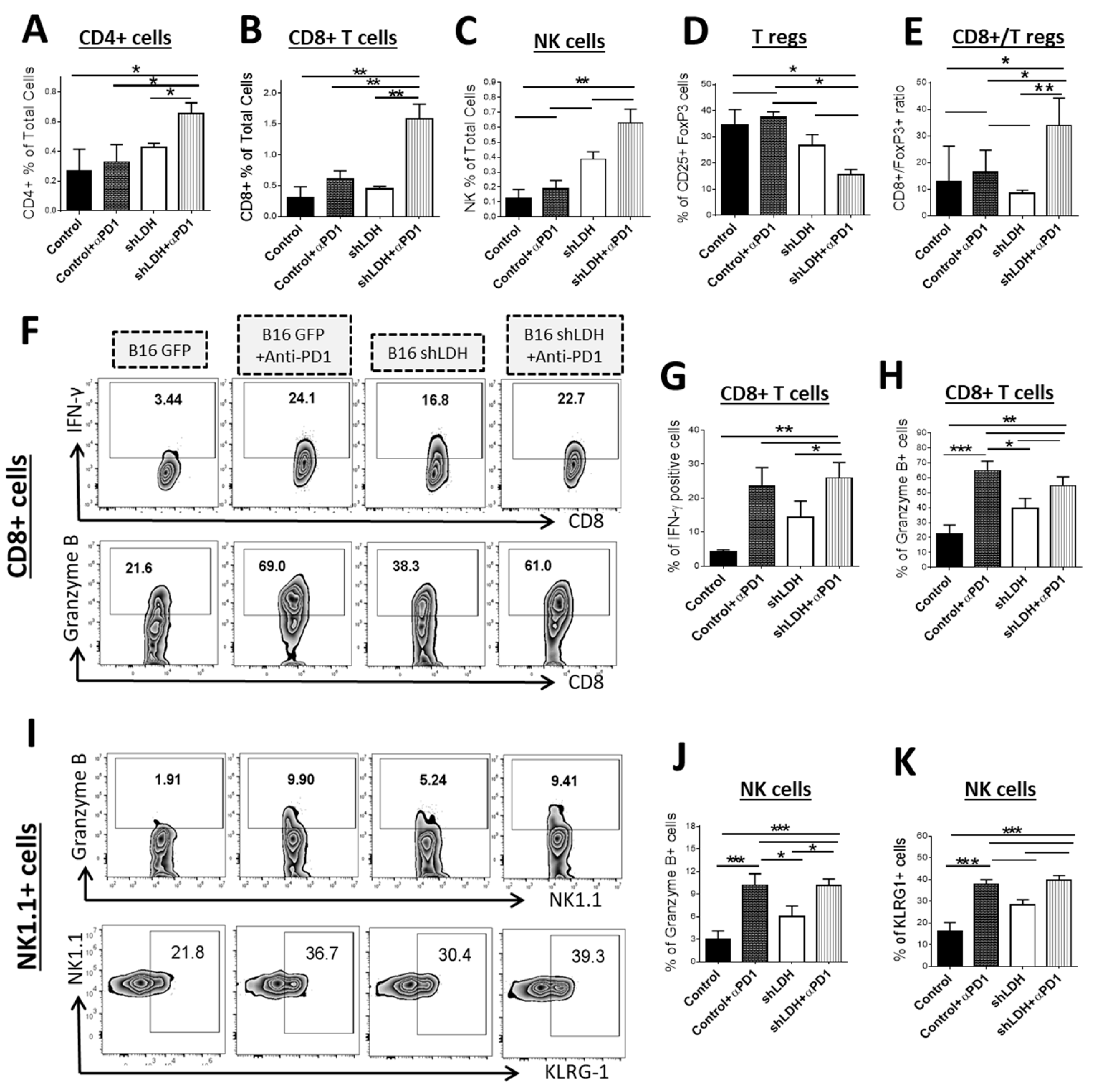 Cancers 11 00450 g002 550