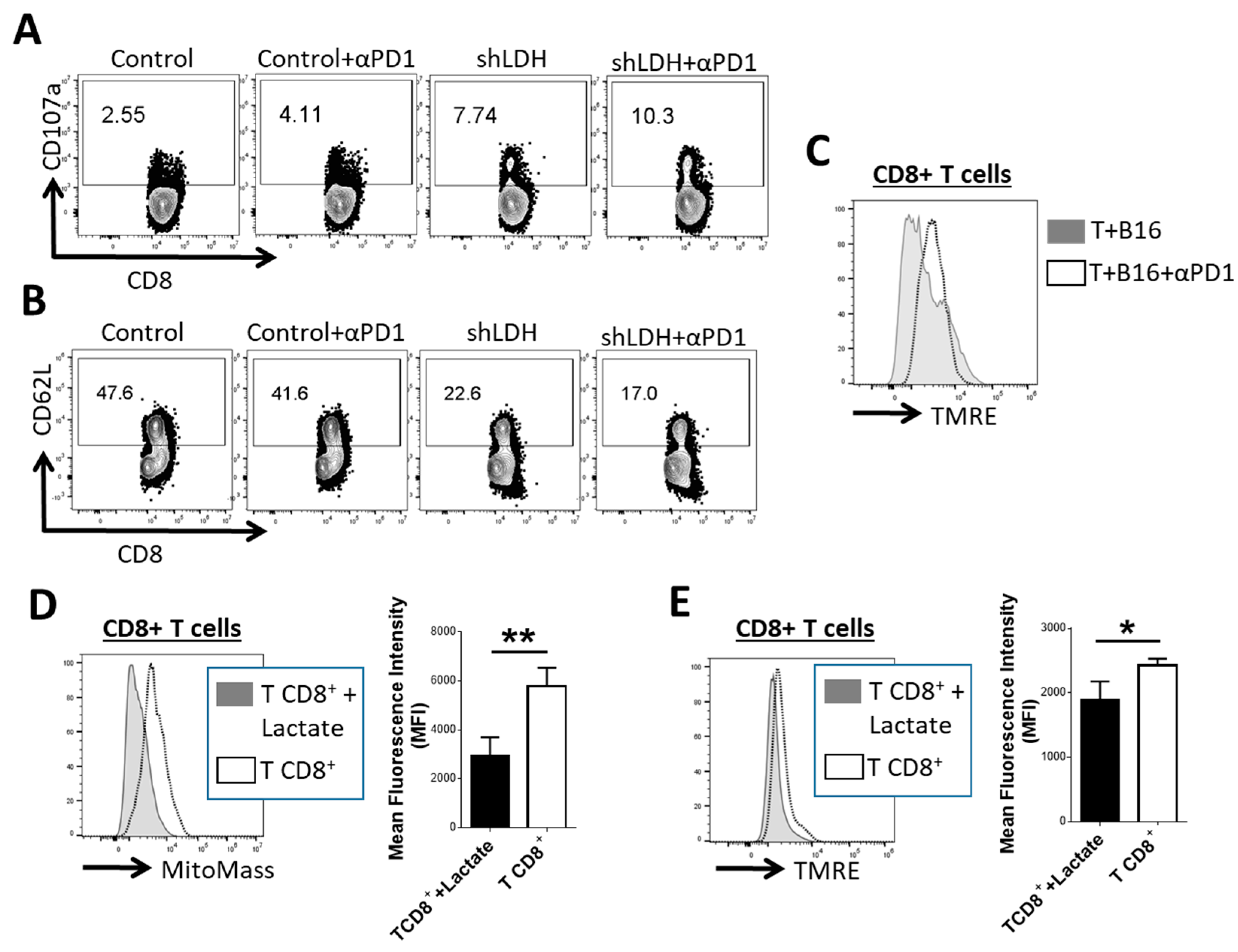 Cancers 11 00450 g004 550
