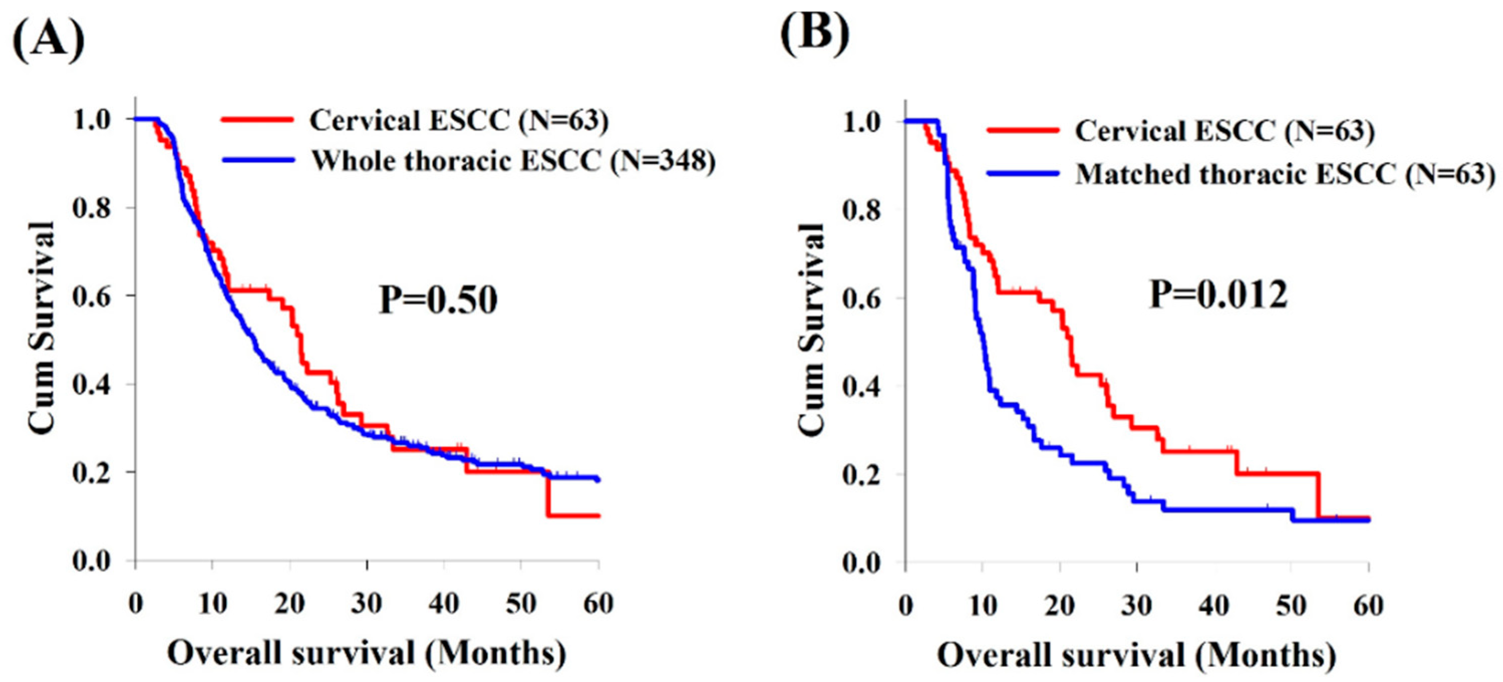 Cancers 11 00451 g001 Cancers 11 00451 g001