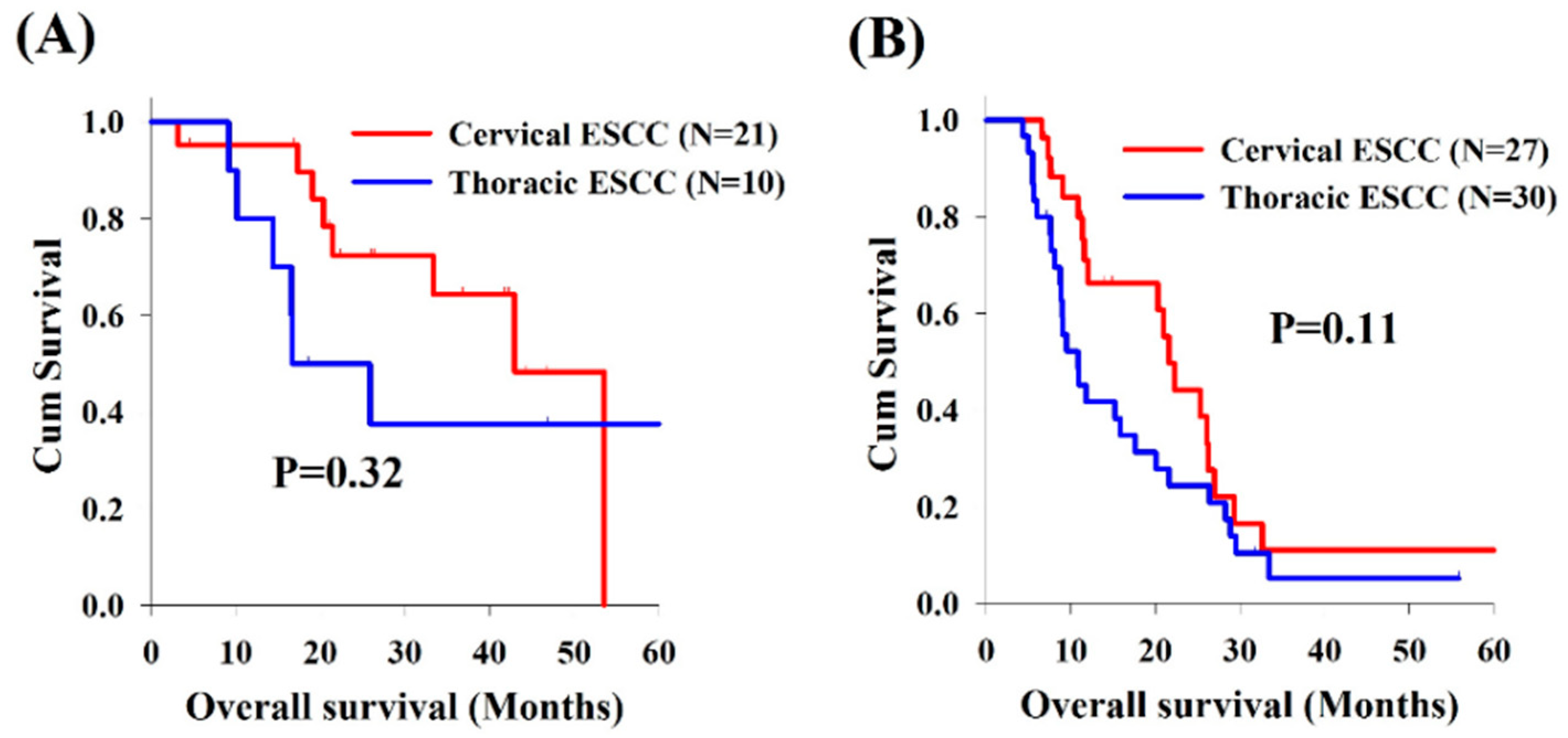 Cancers 11 00451 g002a Cancers 11 00451 g002a