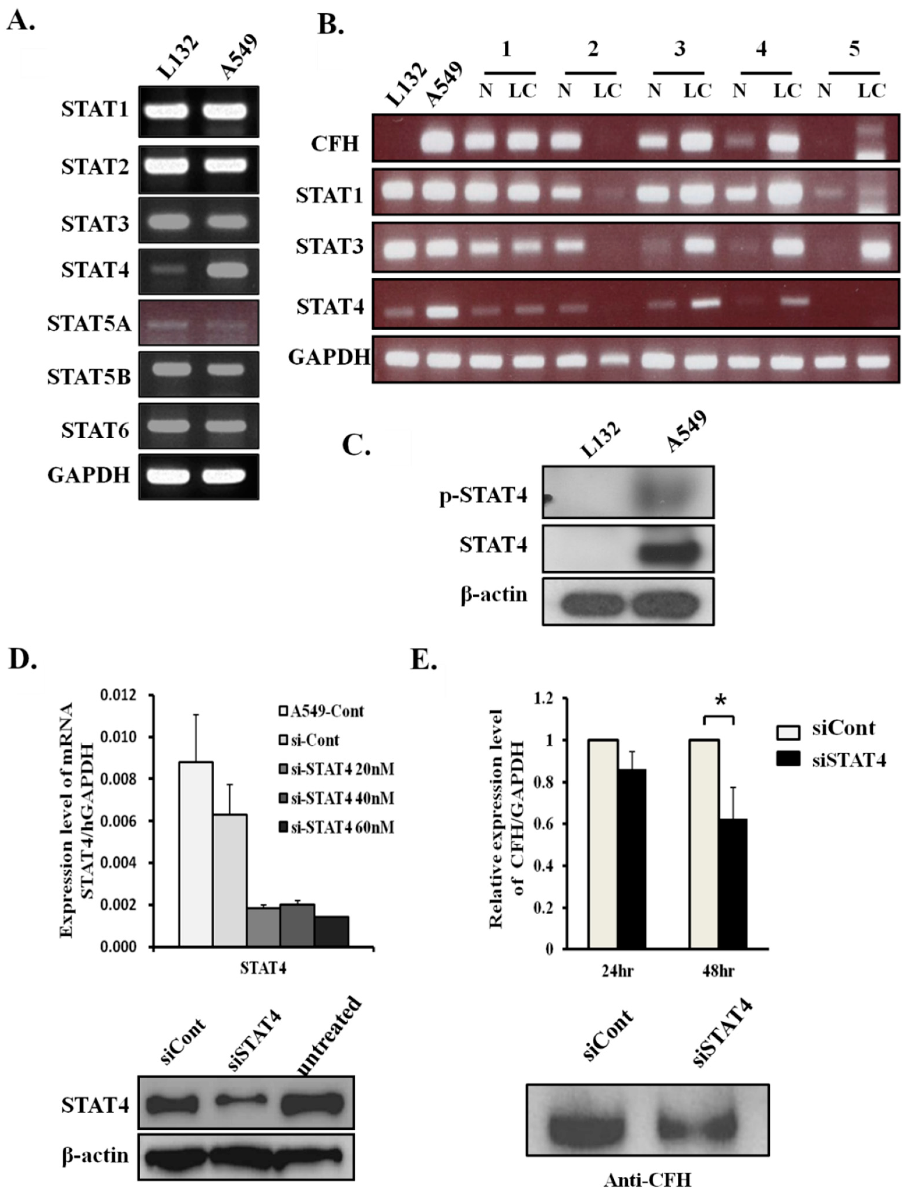 Cancers 11 00471 g002