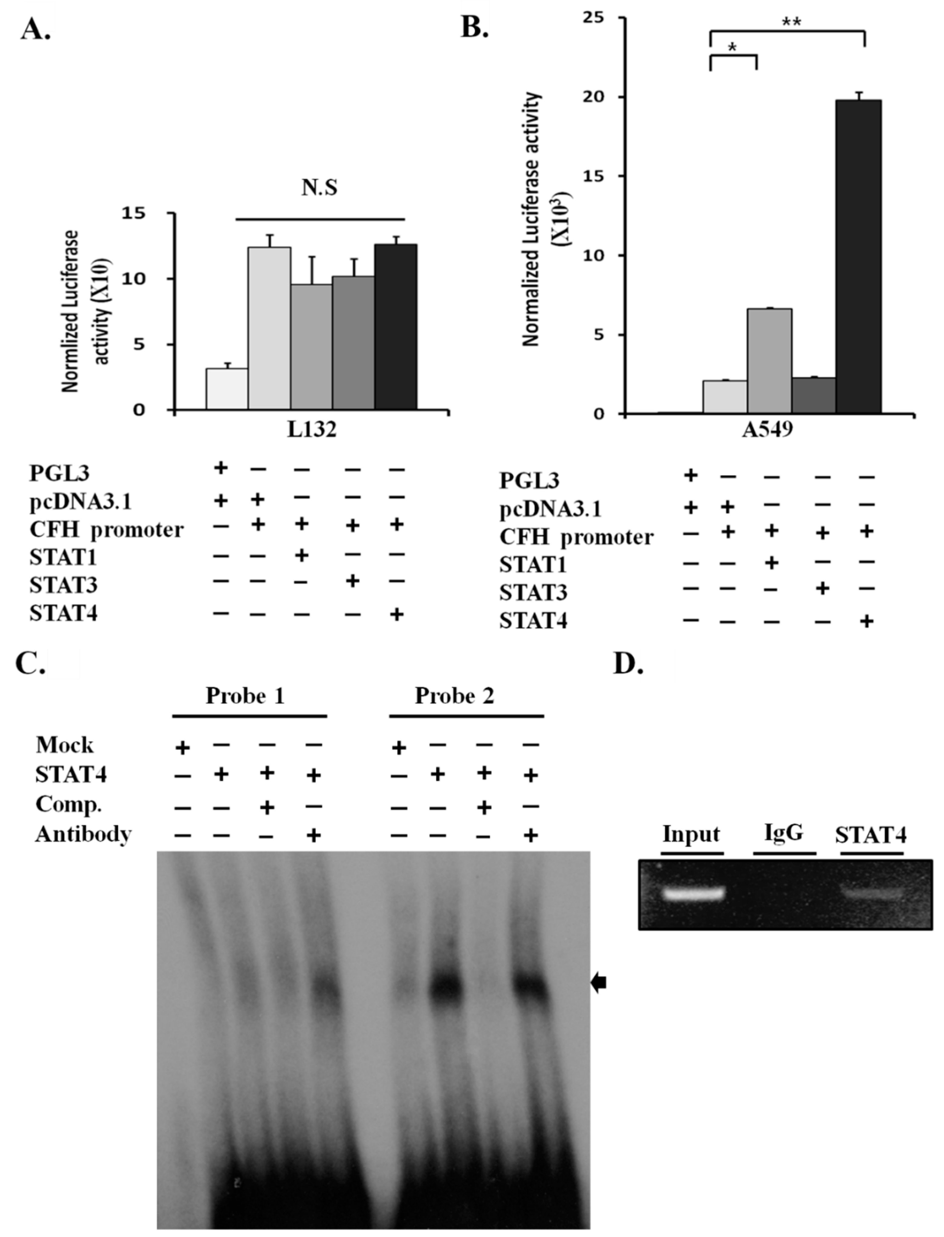 Cancers 11 00471 g003