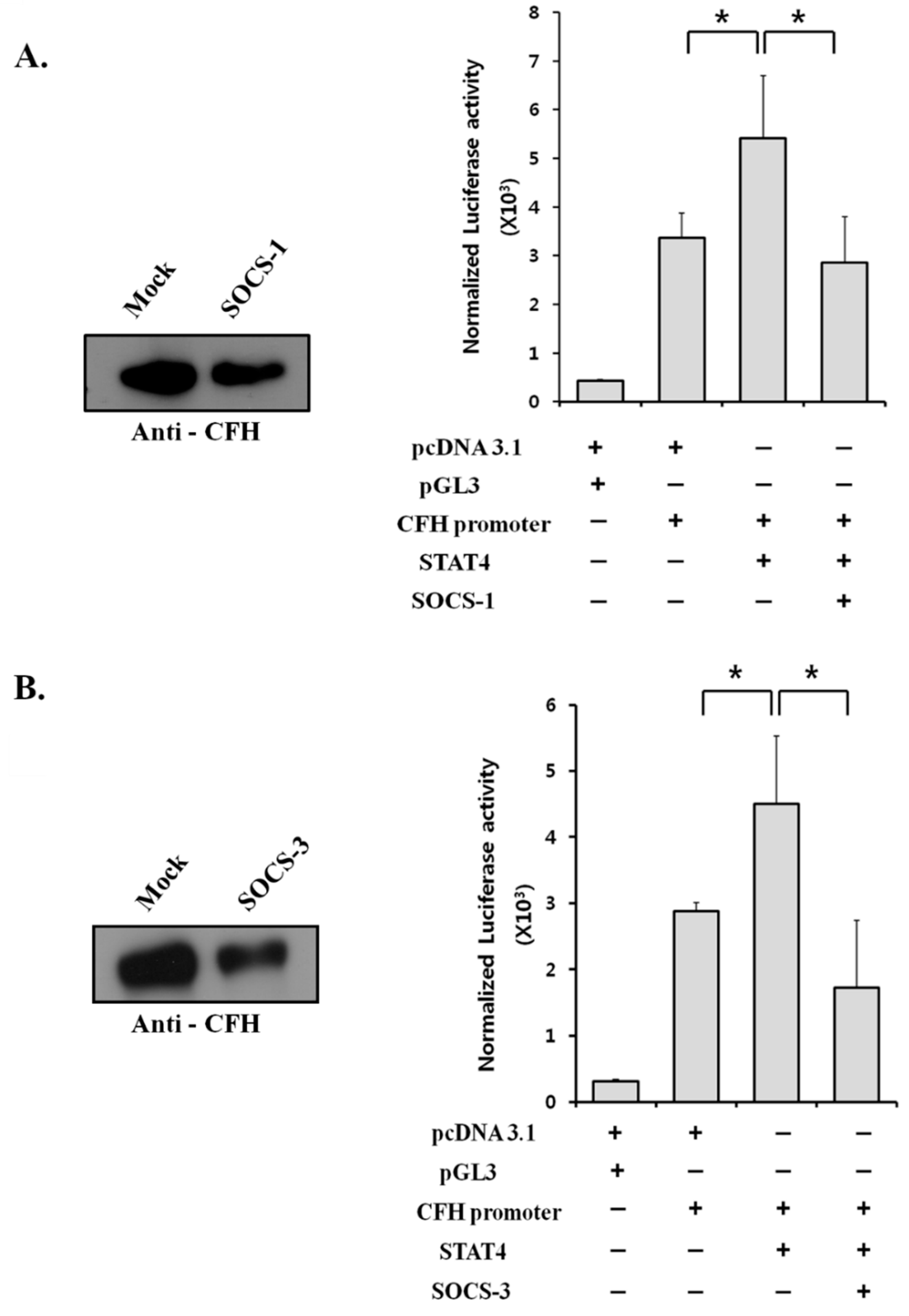 Cancers 11 00471 g004