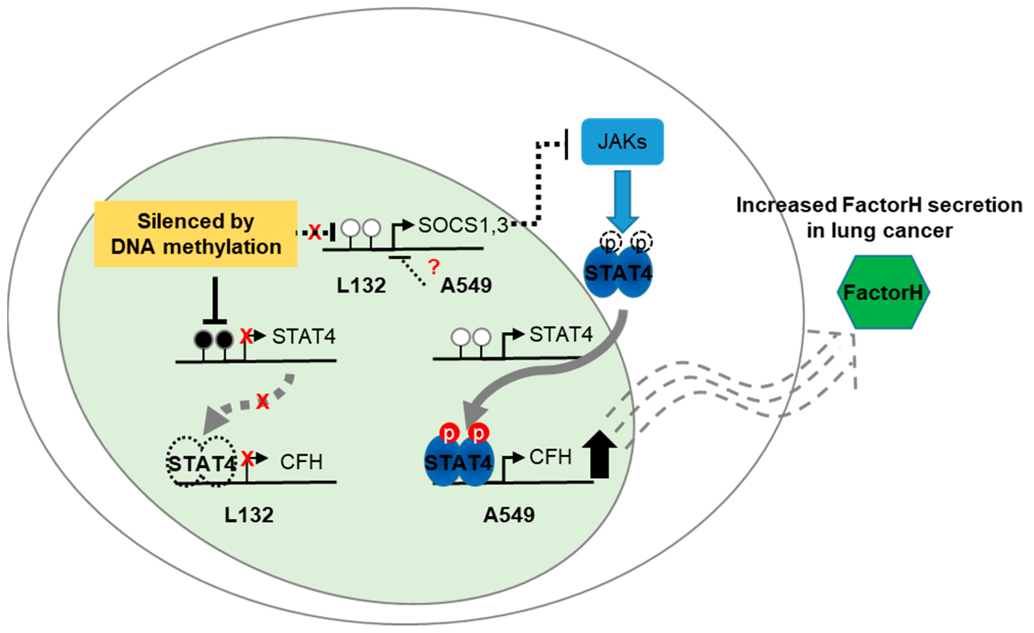 Cancers 11 00471 g006