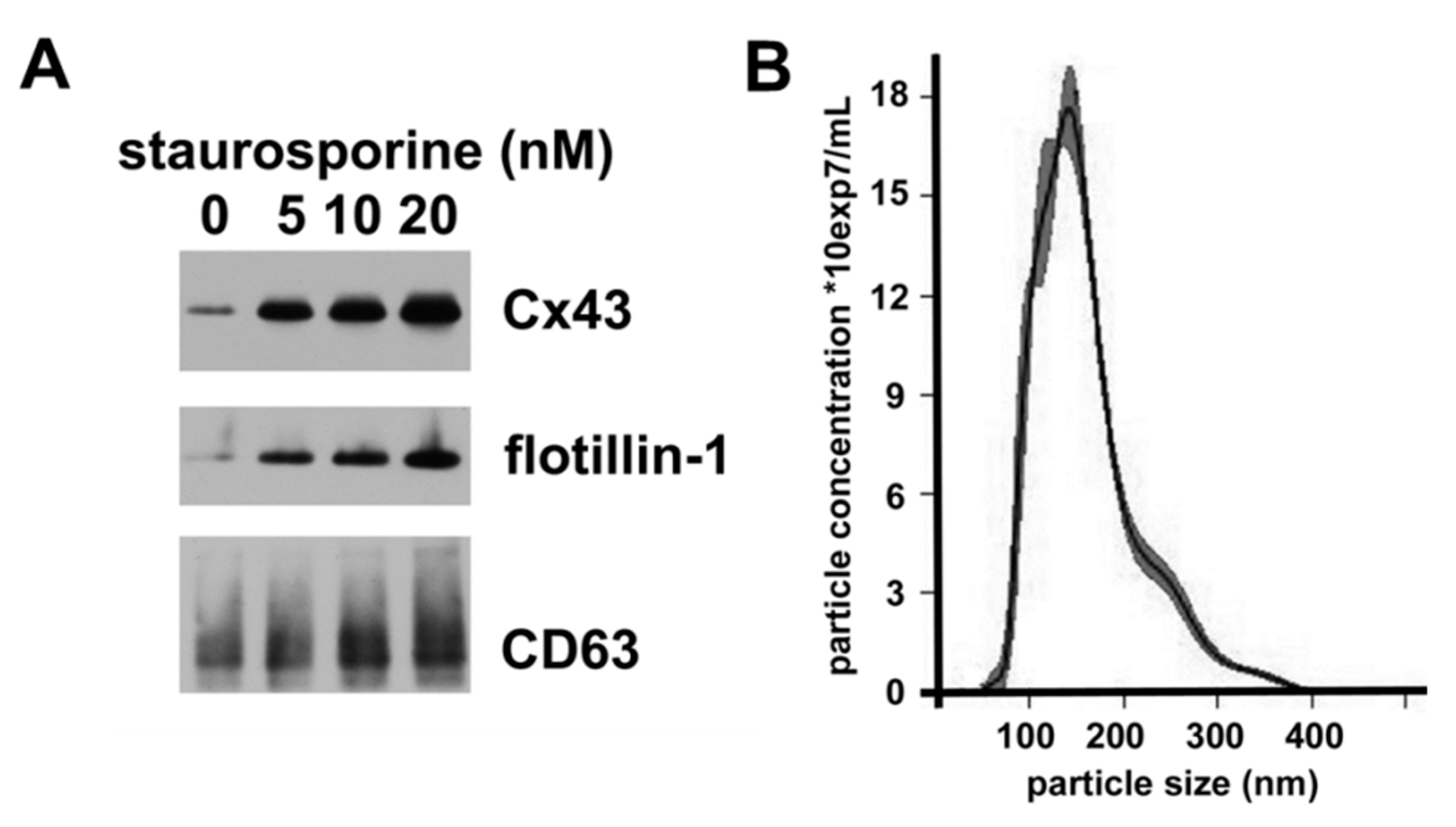 Cancers 11 00476 g004