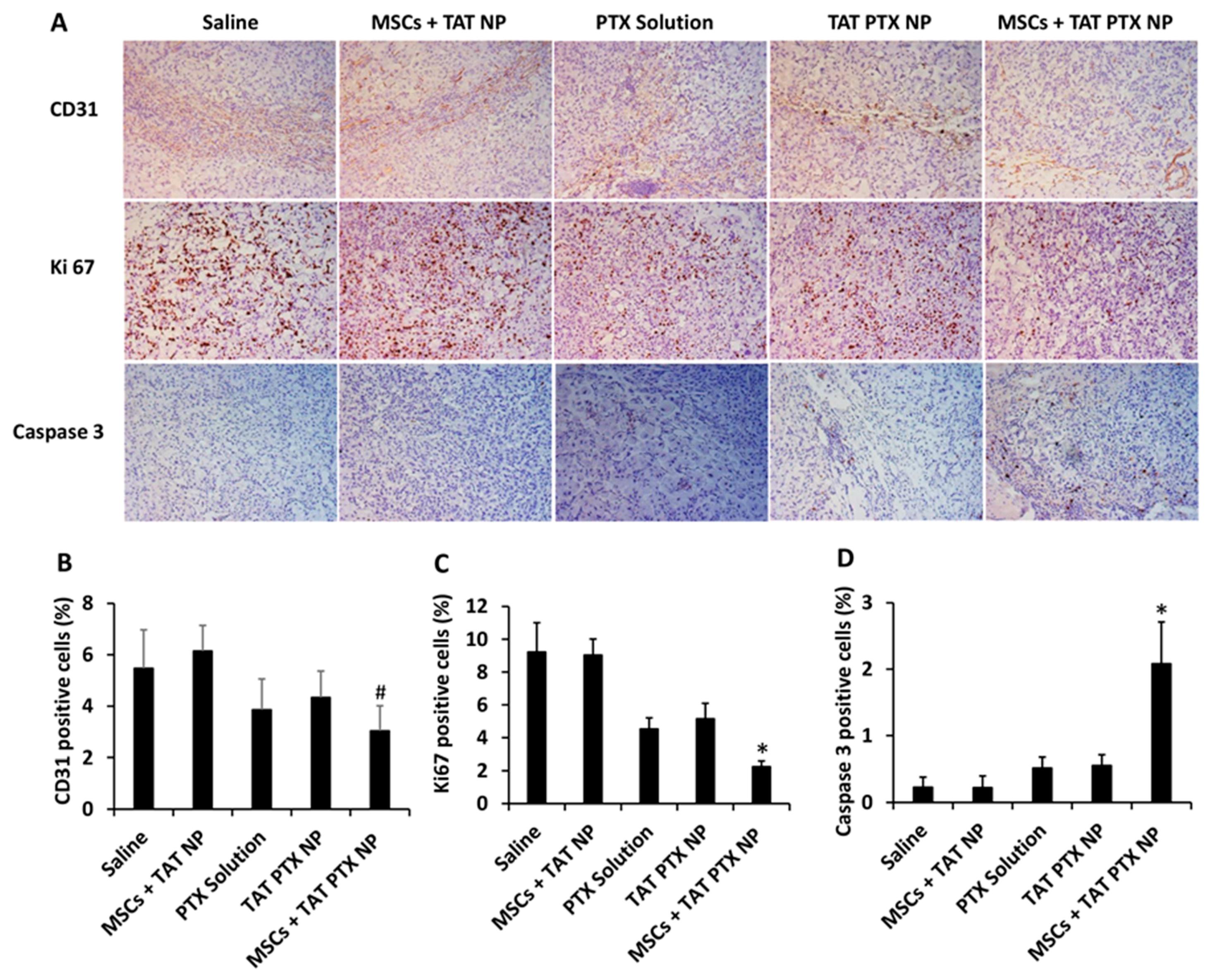 Cancers 11 00491 g004 Cancers 11 00491 g004