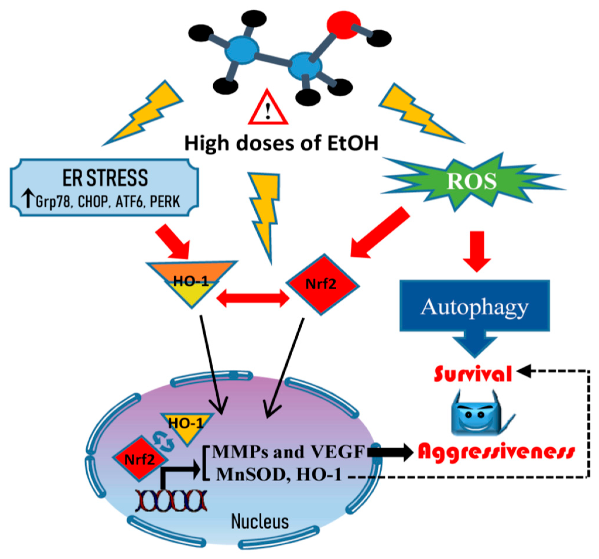 Cancers 11 00505 g009