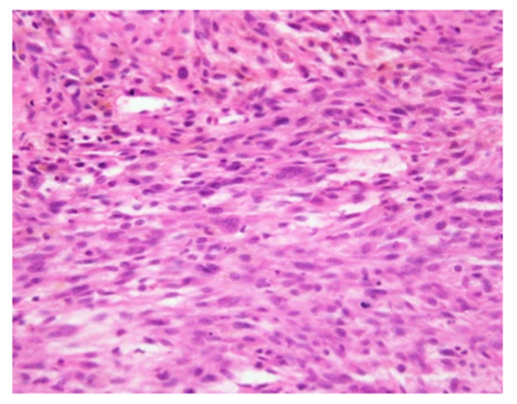 Cancers 11 00506 g002