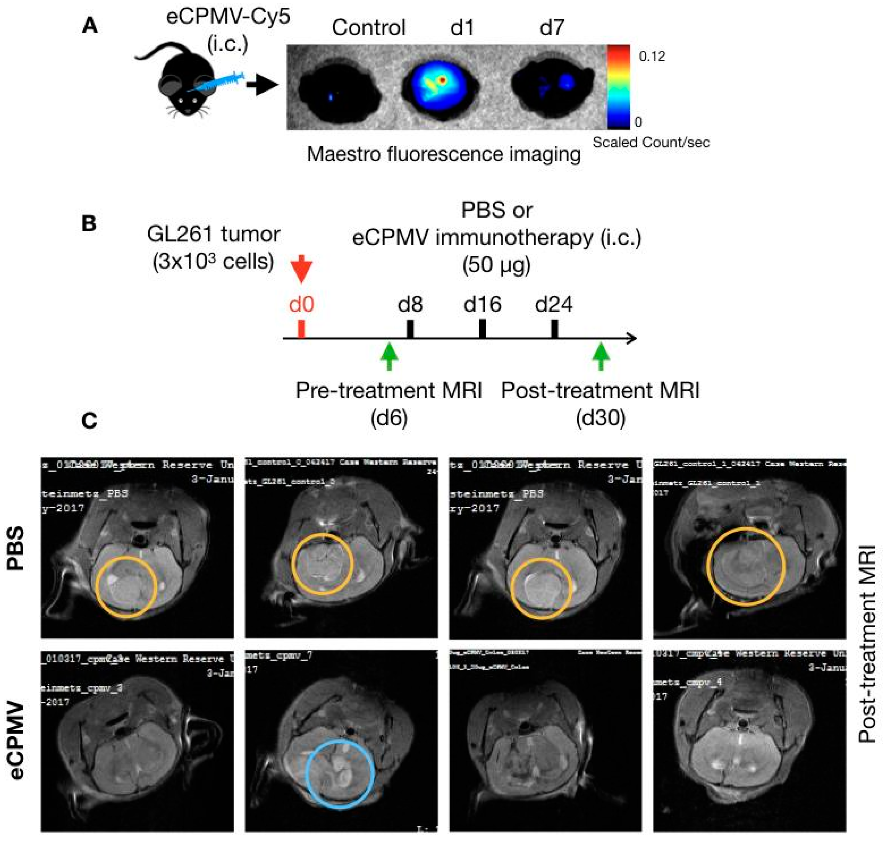 Cancers 11 00515 g002