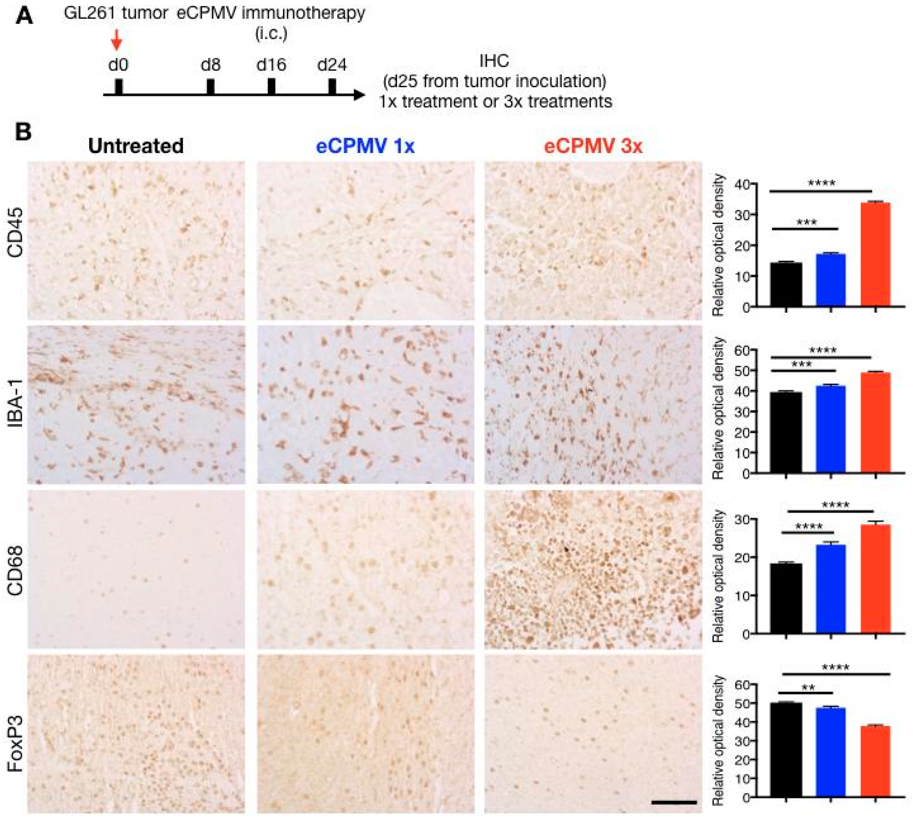 Cancers 11 00515 g004