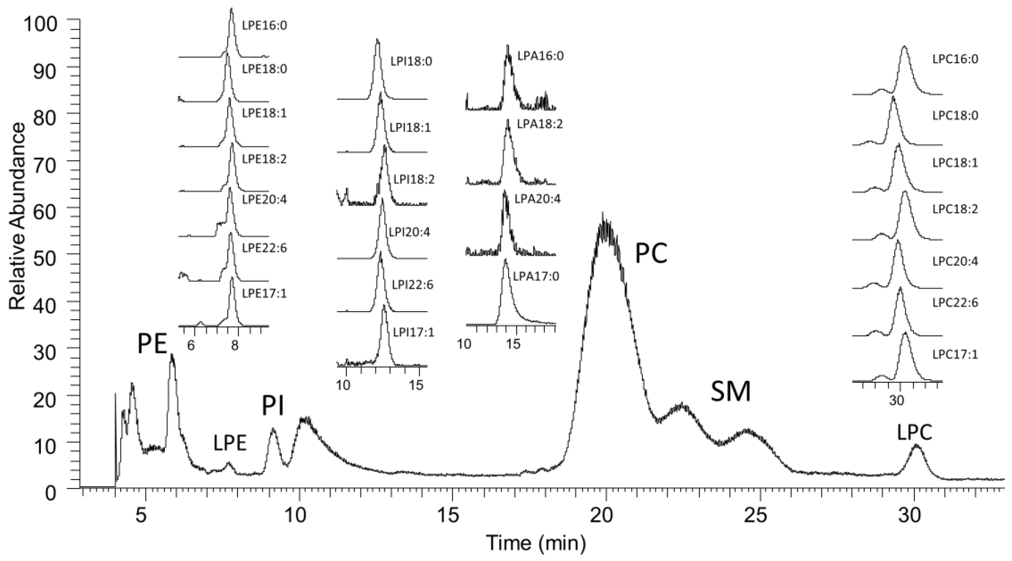 Cancers 11 00520 g001
