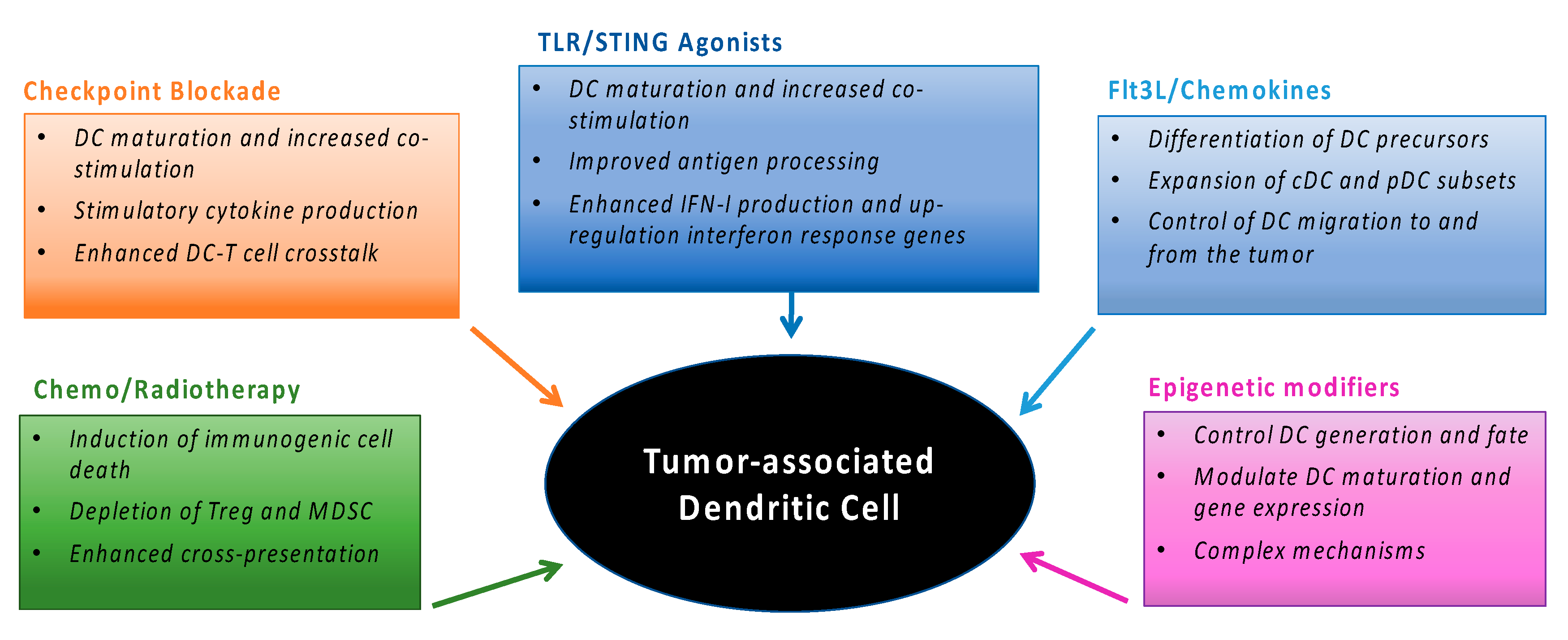 Cancers 11 00521 g002