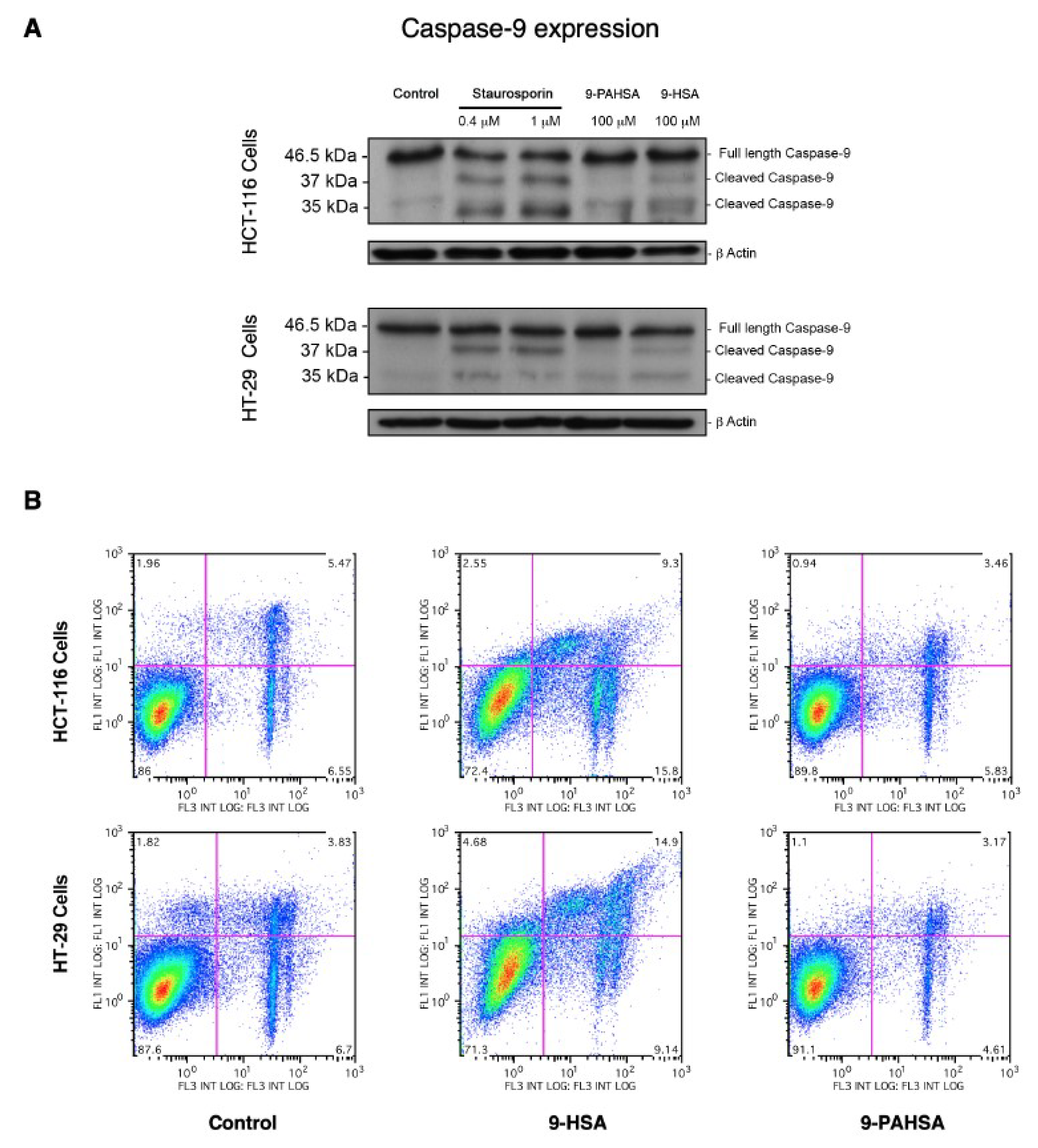 Cancers 11 00524 g009