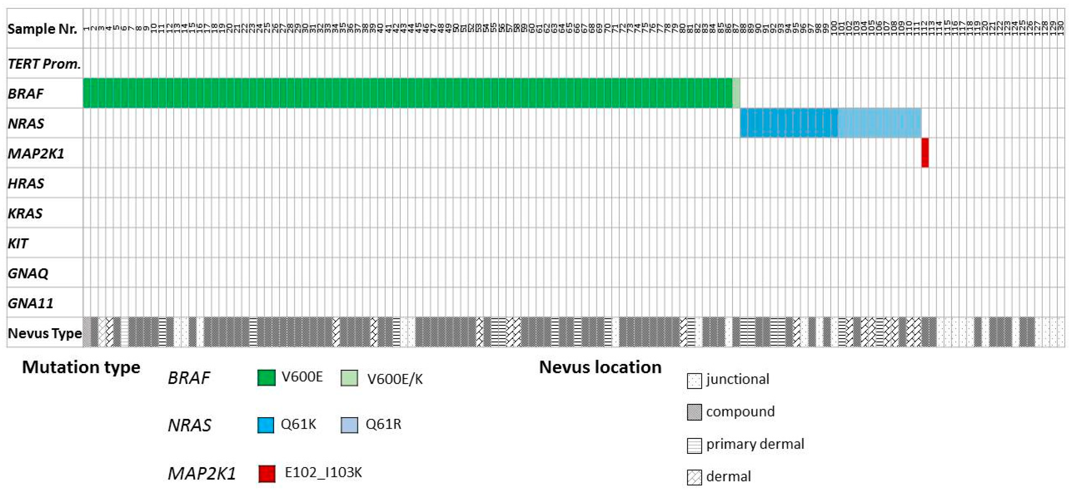 Cancers 11 00546 g001