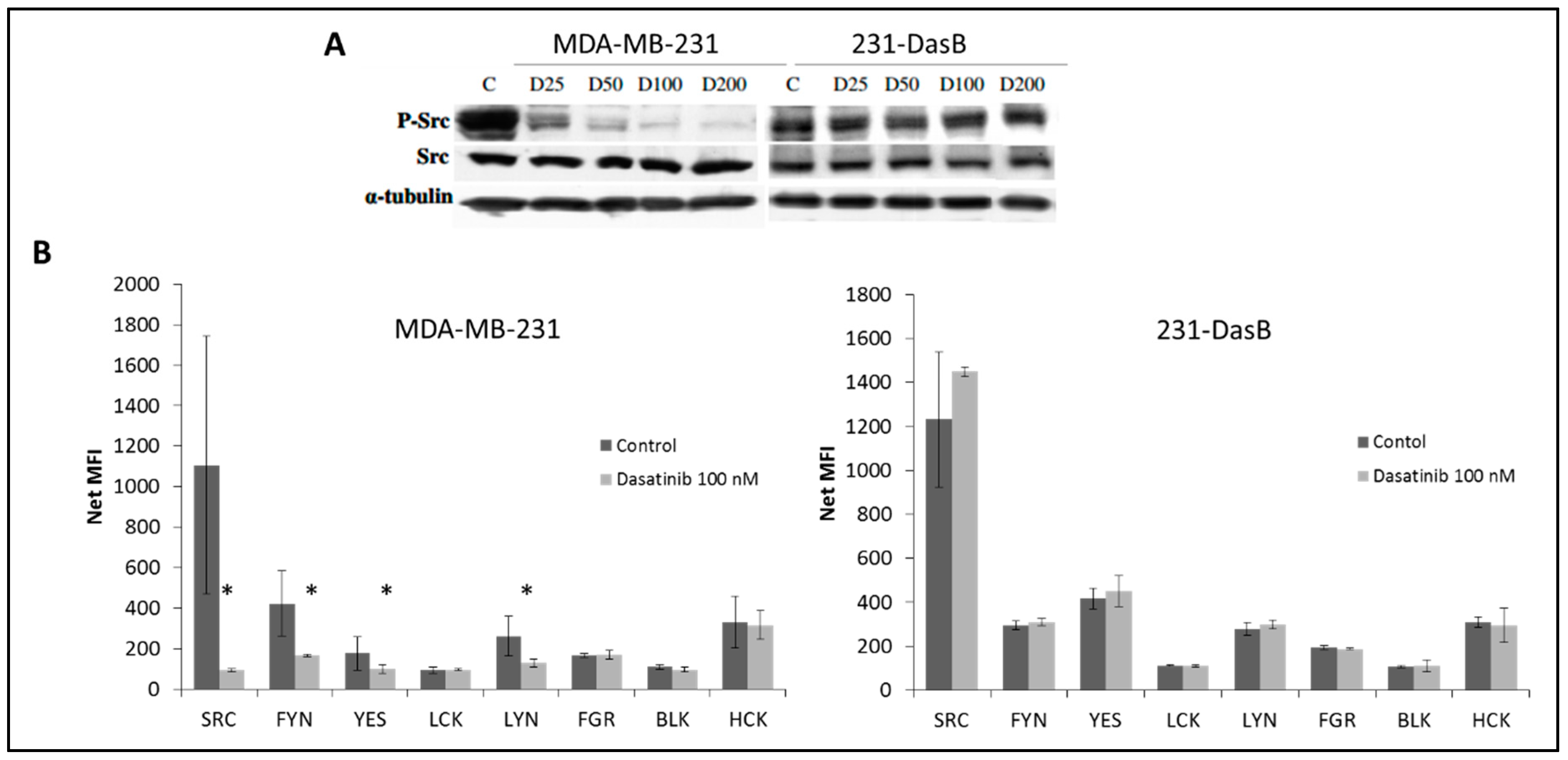 Cancers 11 00548 g002 Cancers 11 00548 g002