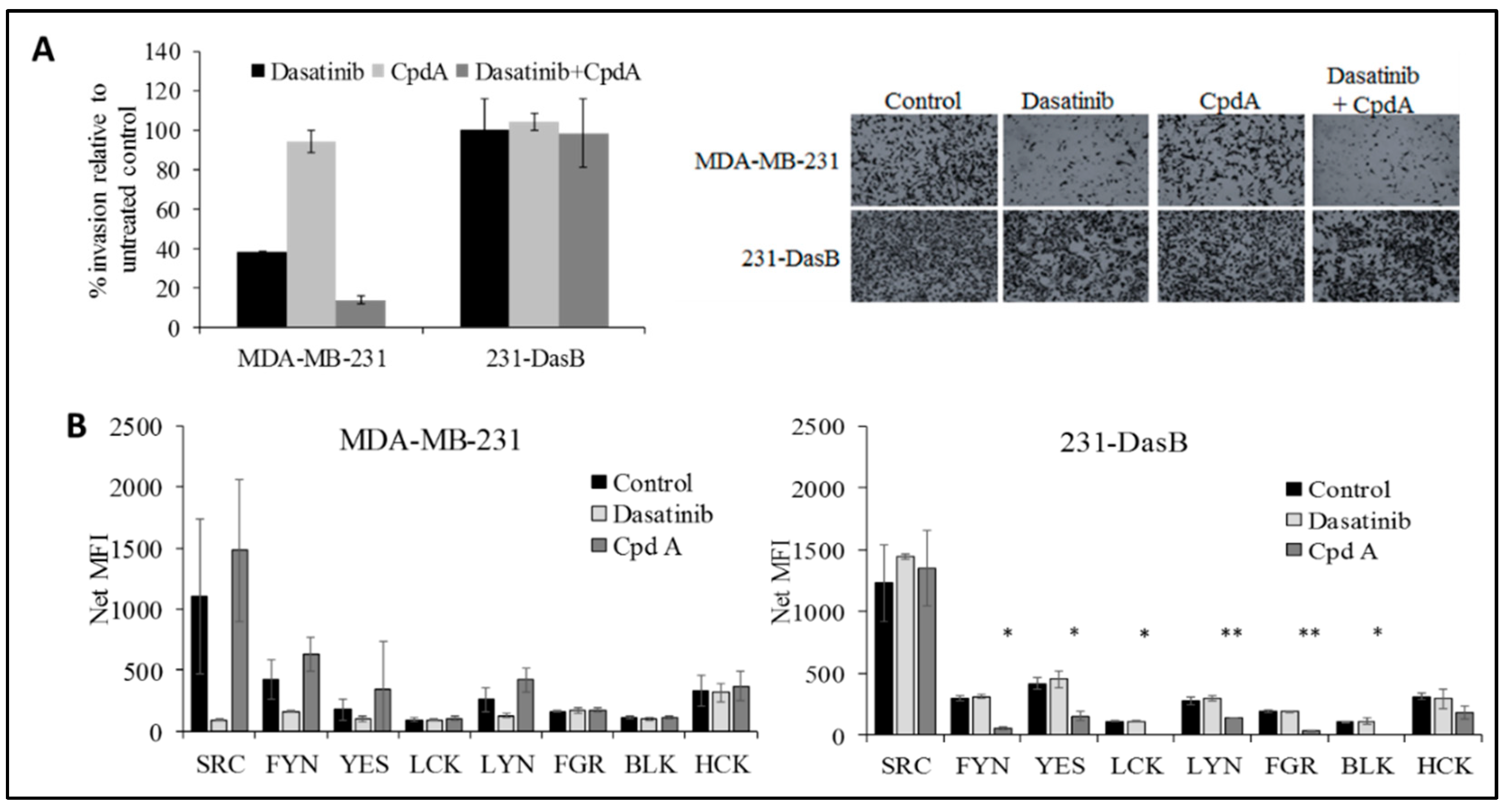 Cancers 11 00548 g004 Cancers 11 00548 g004