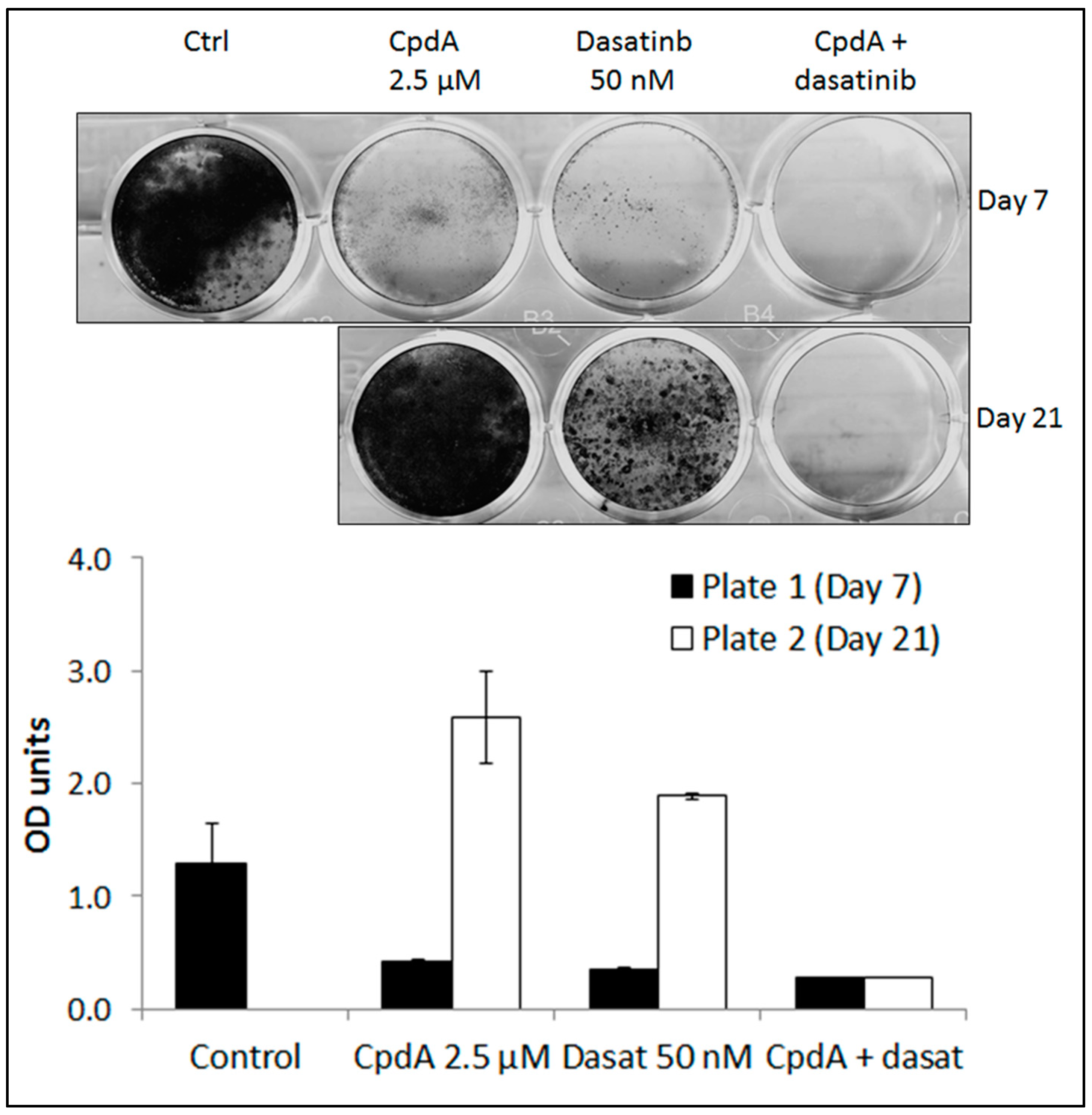 Cancers 11 00548 g005 Cancers 11 00548 g005