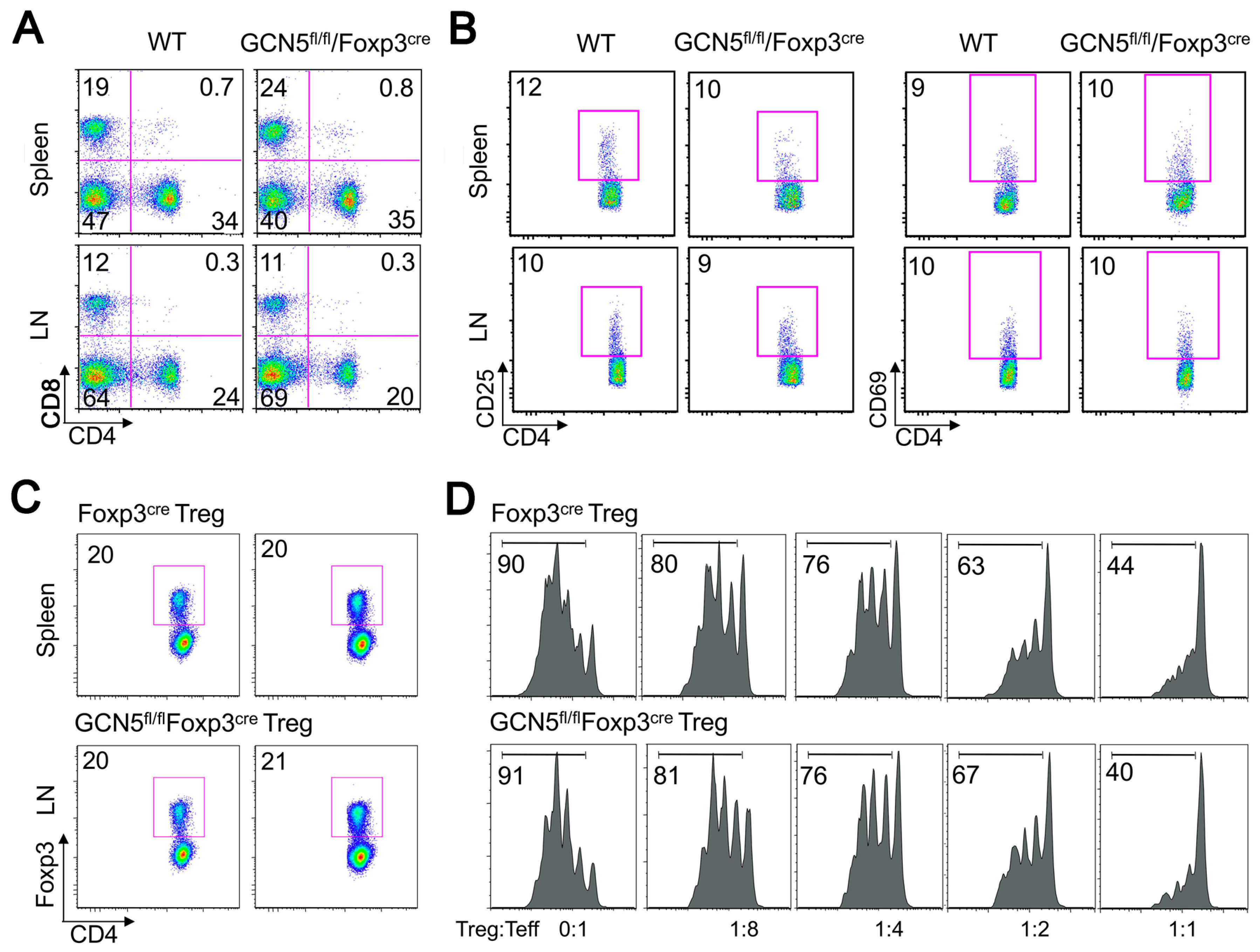 Cancers 11 00554 g001a Cancers 11 00554 g001a