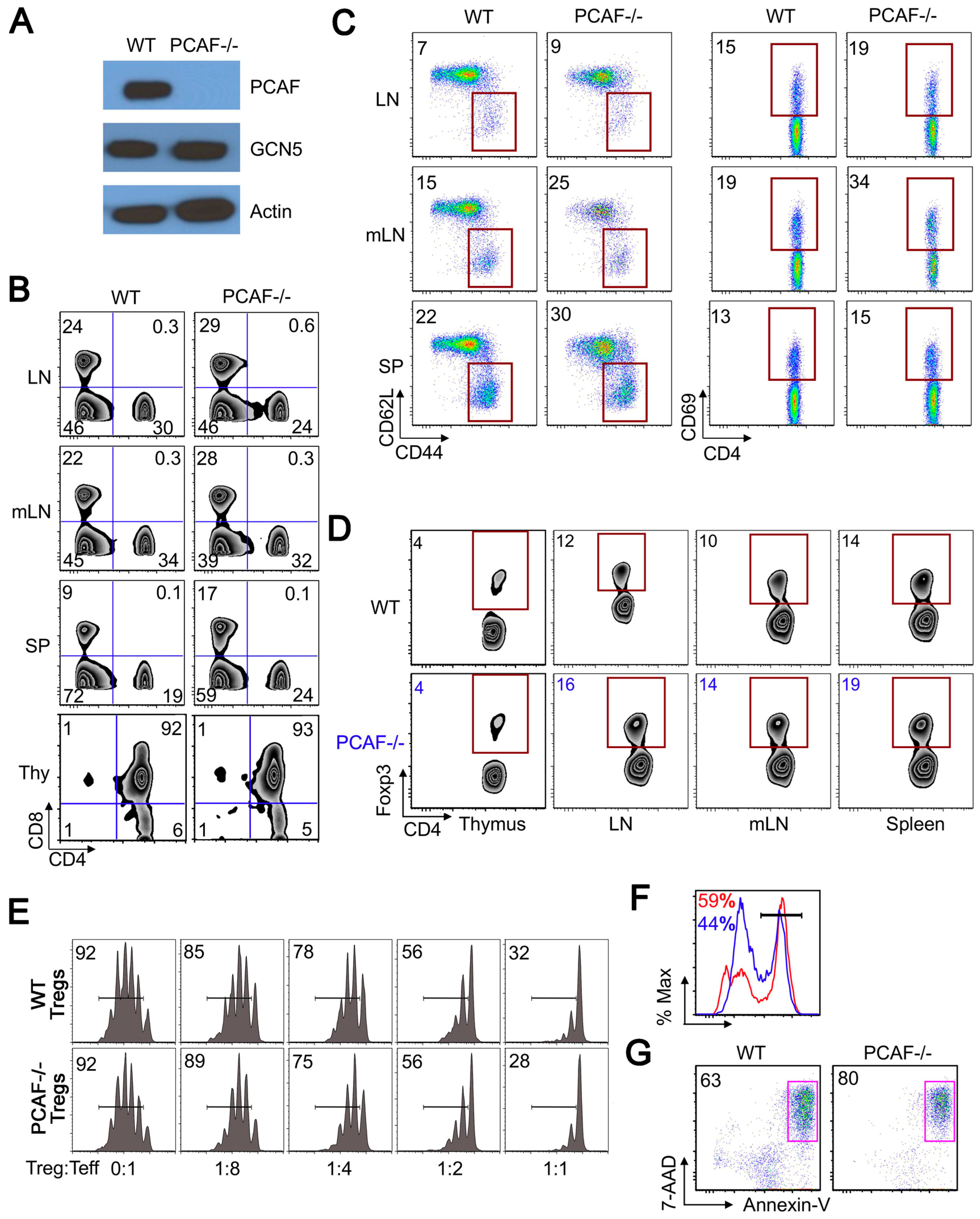 Cancers 11 00554 g002 Cancers 11 00554 g002