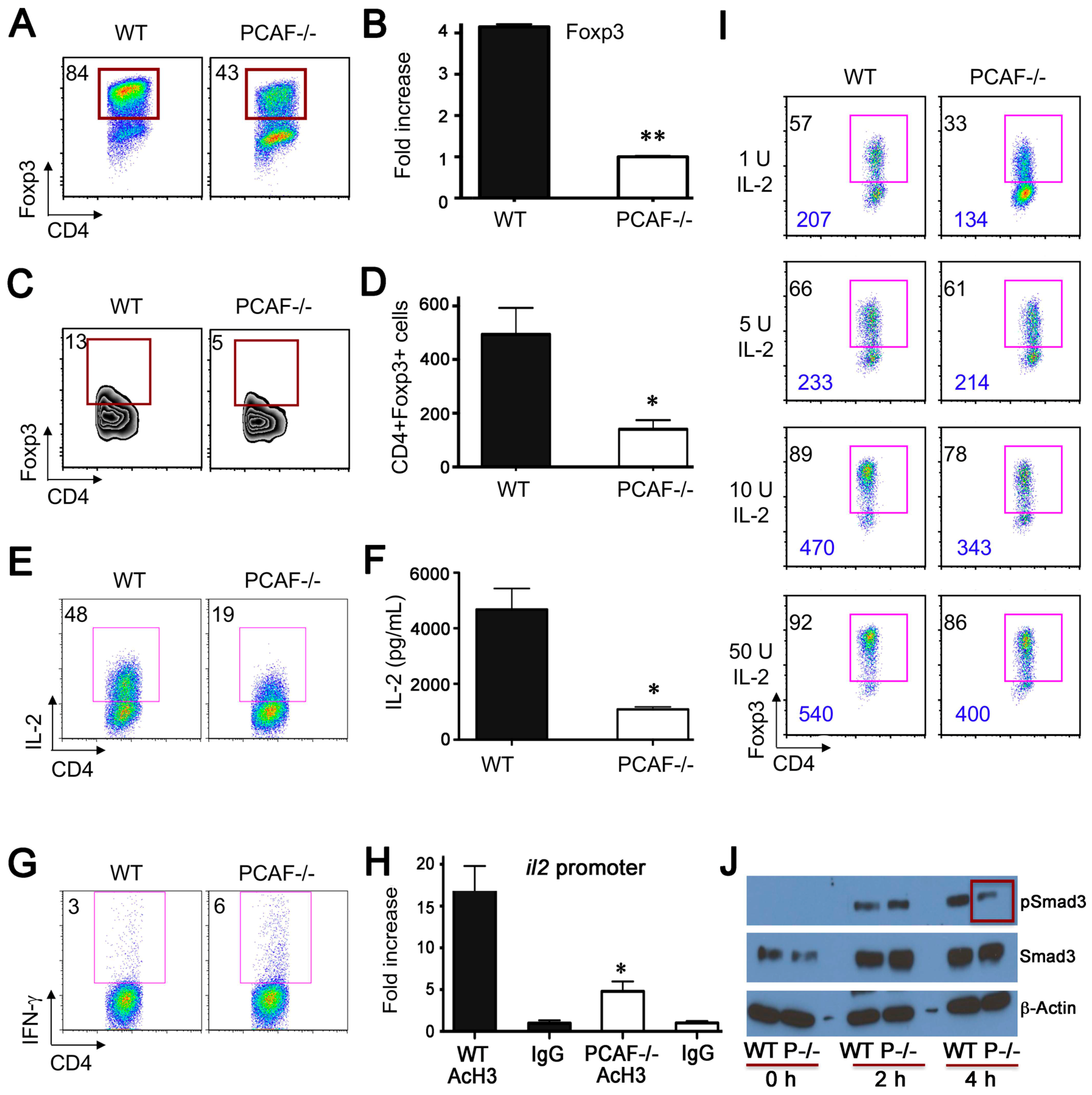 Cancers 11 00554 g003 Cancers 11 00554 g003