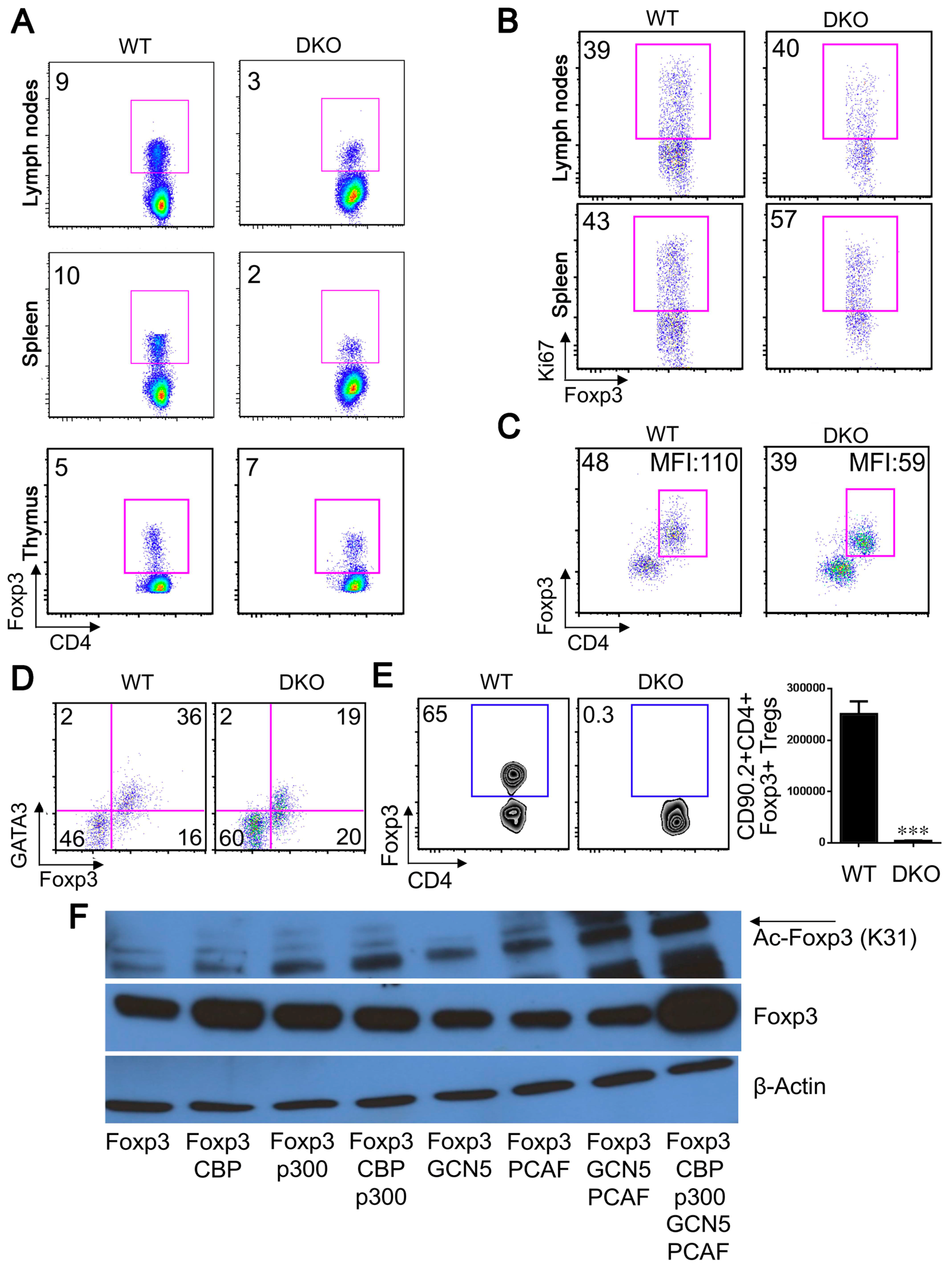 Cancers 11 00554 g006 Cancers 11 00554 g006