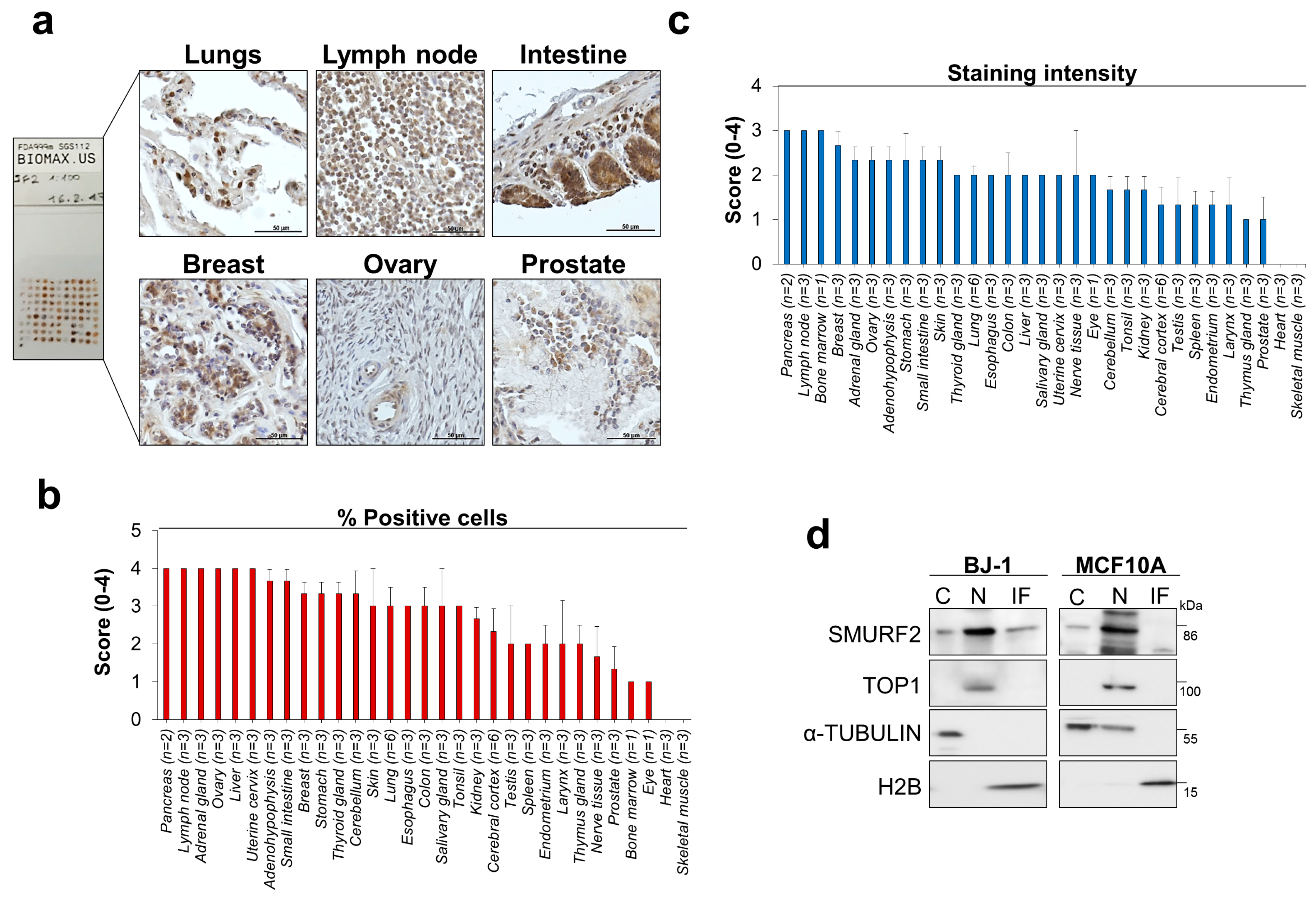 Cancers 11 00556 g002 Cancers 11 00556 g002