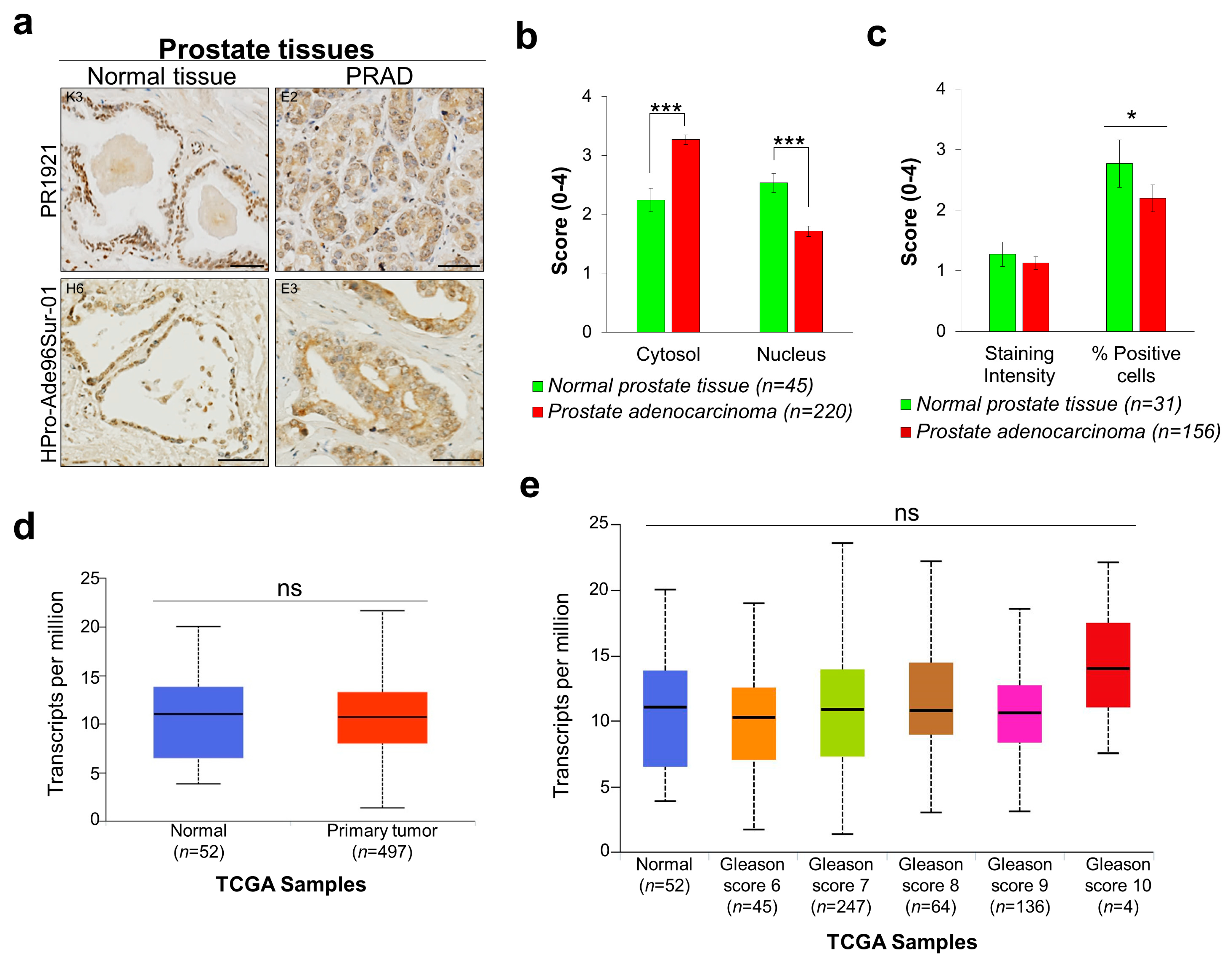 Cancers 11 00556 g003 Cancers 11 00556 g003