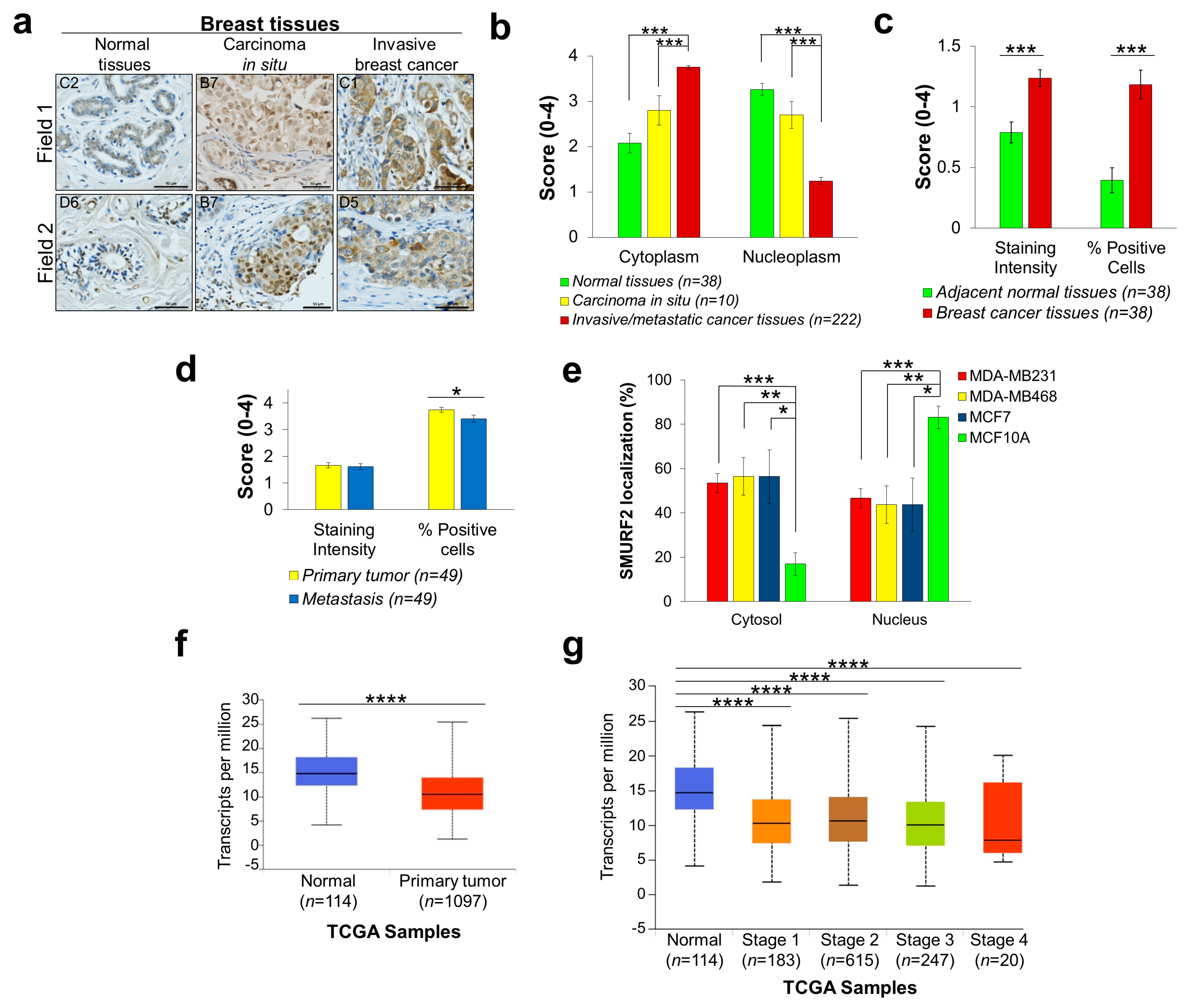 Cancers 11 00556 g004 Cancers 11 00556 g004