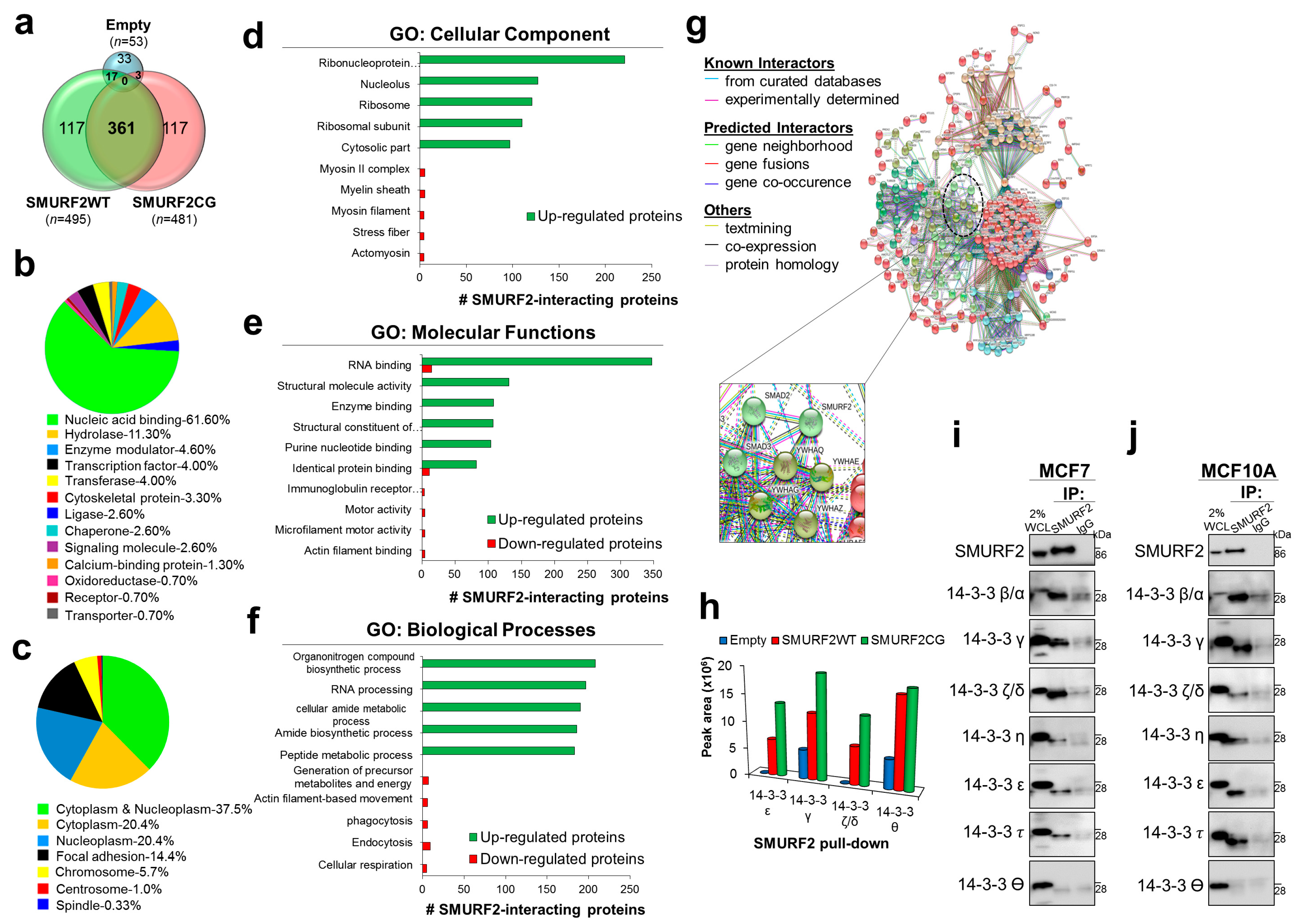 Cancers 11 00556 g006 Cancers 11 00556 g006