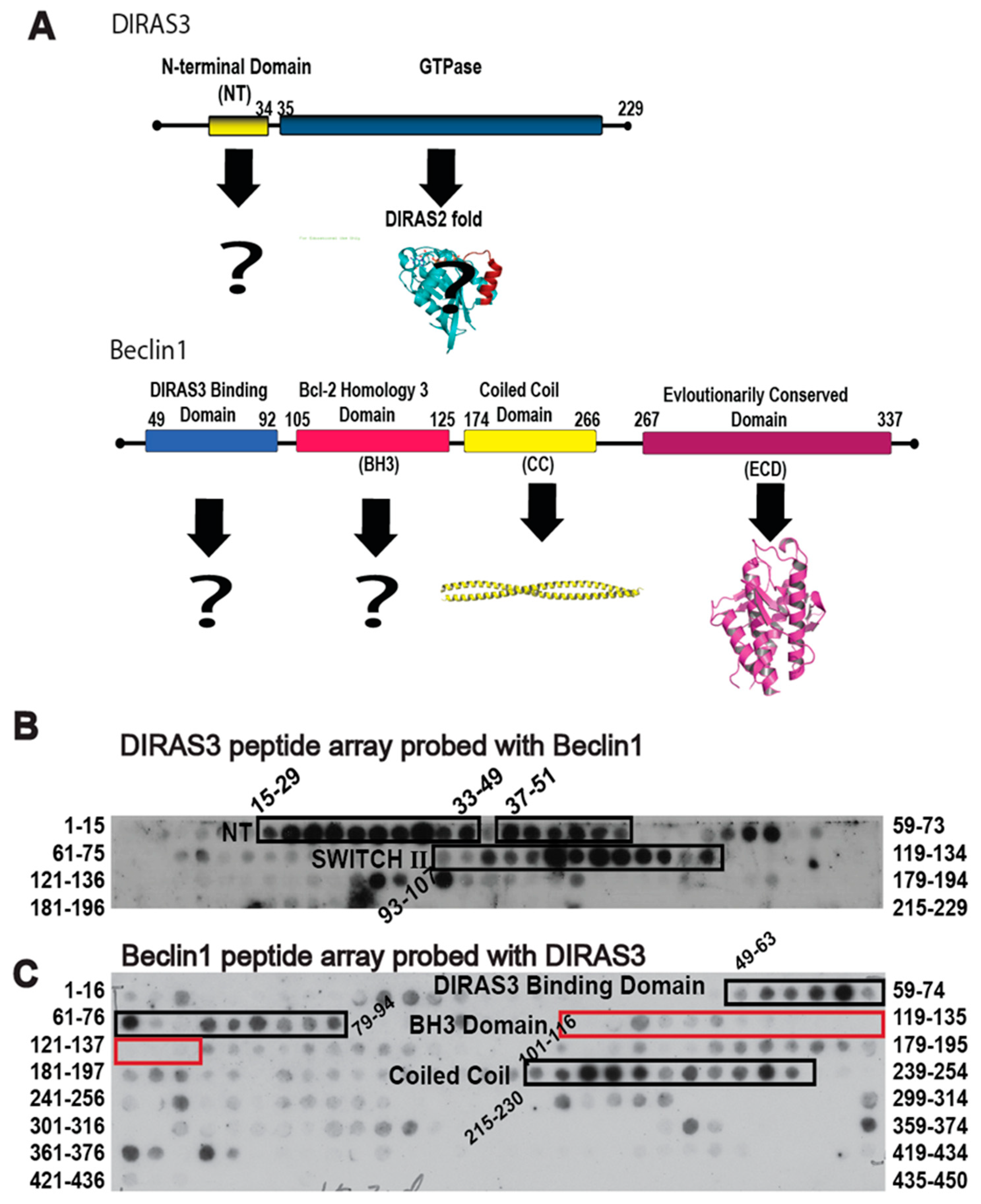 Cancers 11 00557 g001