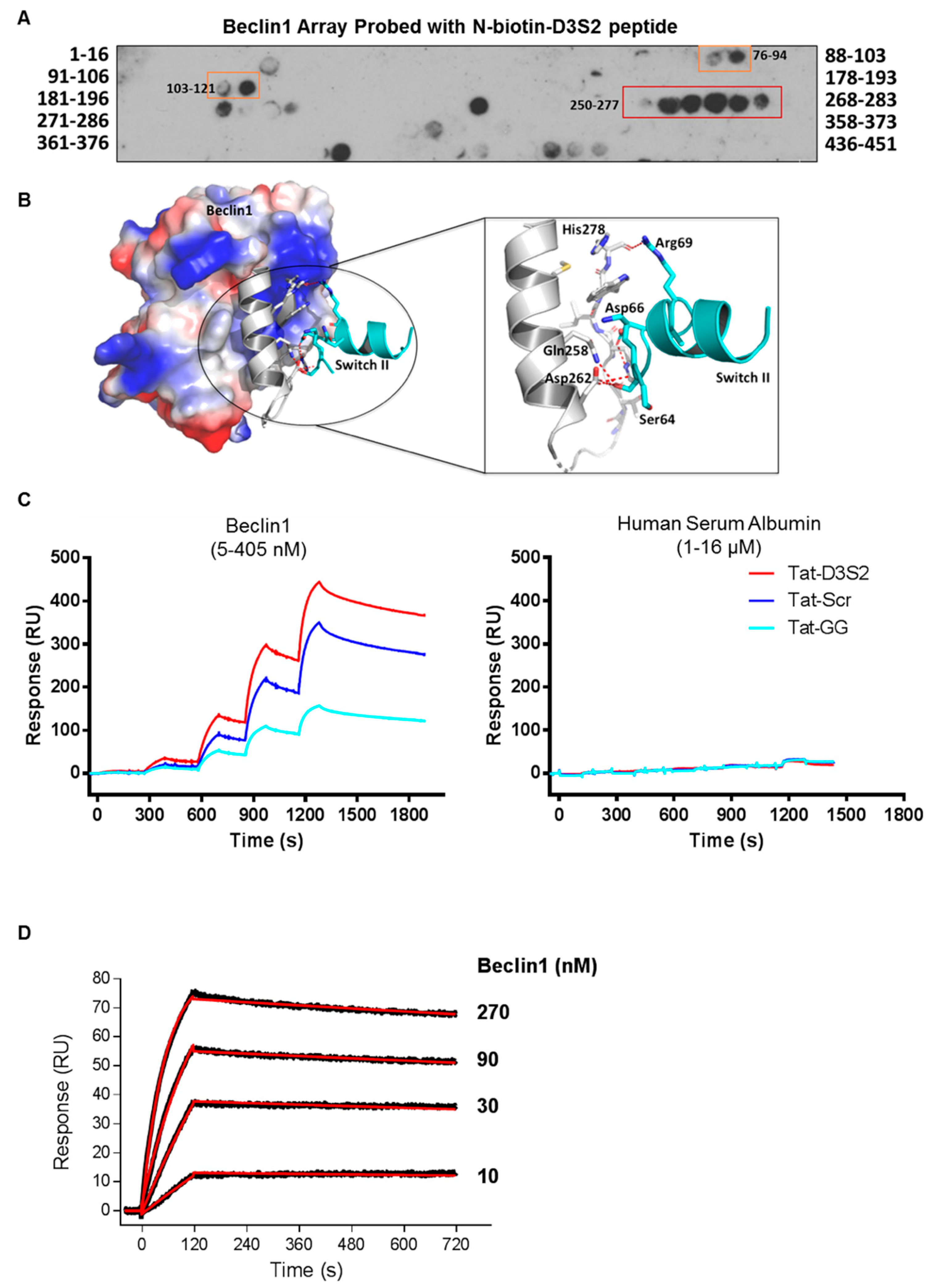 Cancers 11 00557 g004