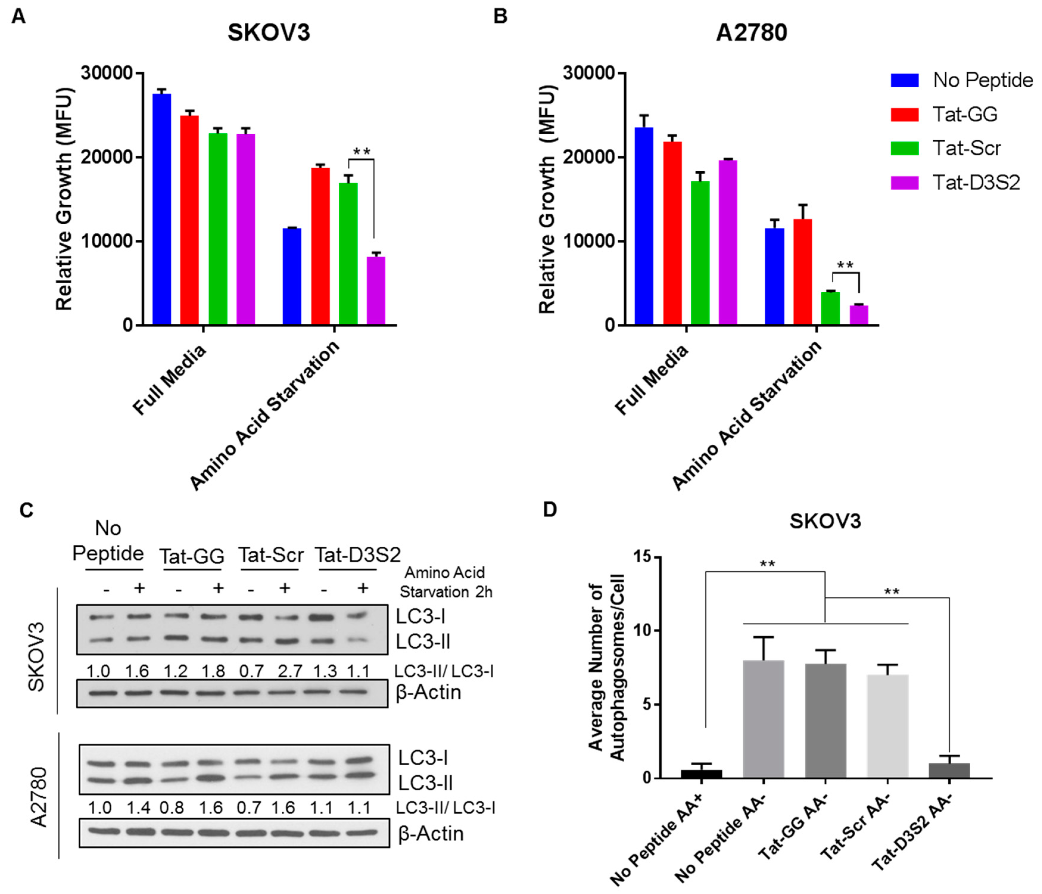 Cancers 11 00557 g005a