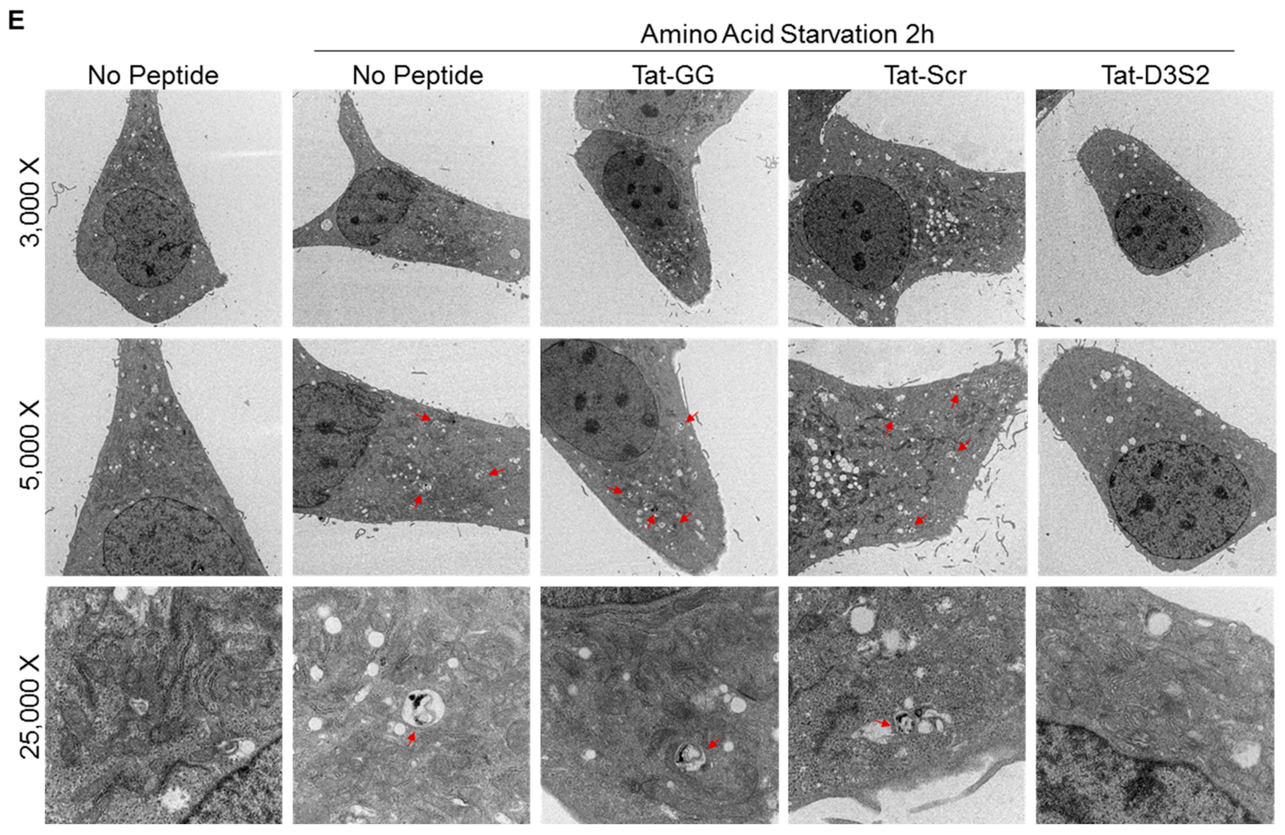 Cancers 11 00557 g005b