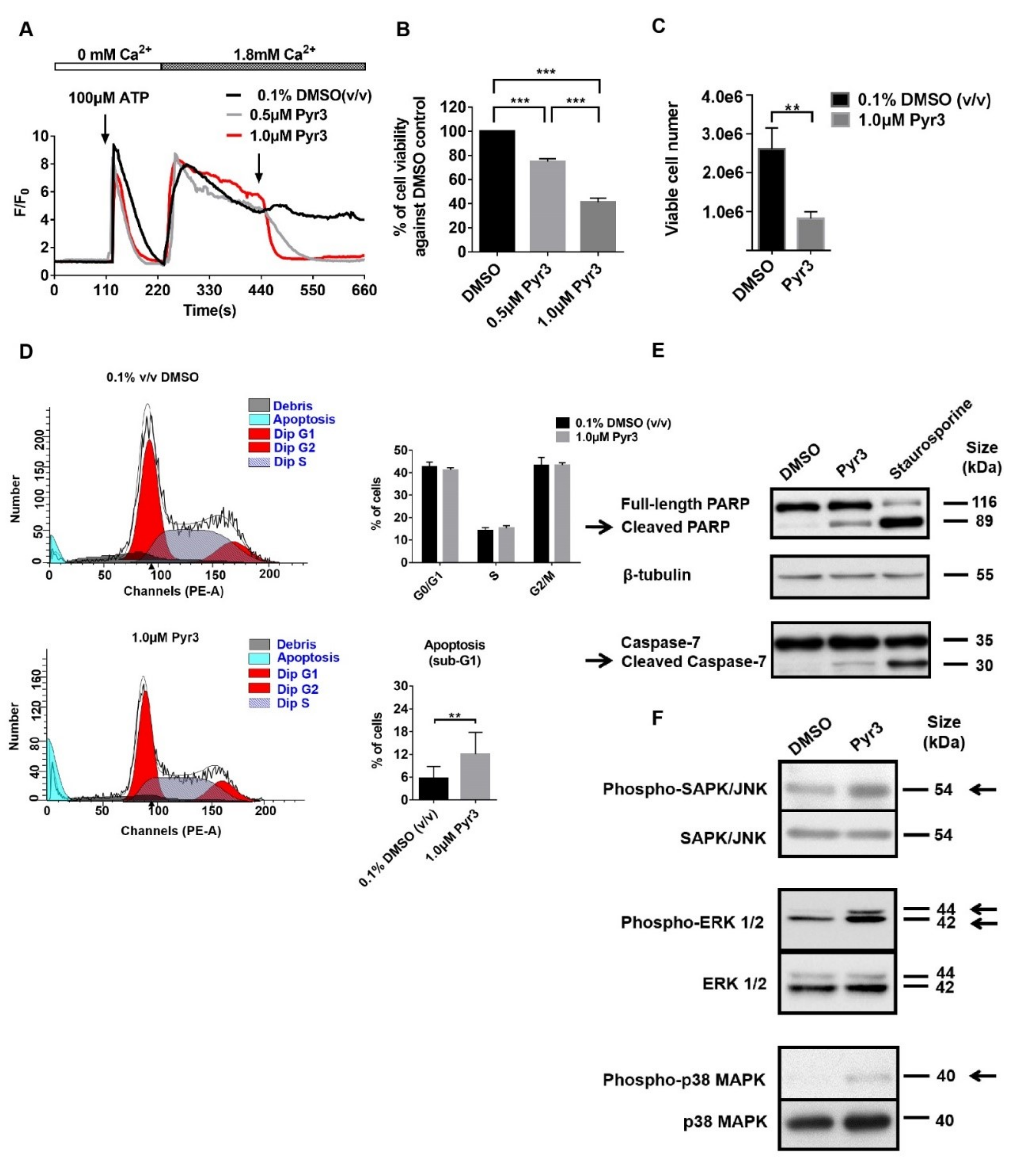 Cancers 11 00558 g002 550