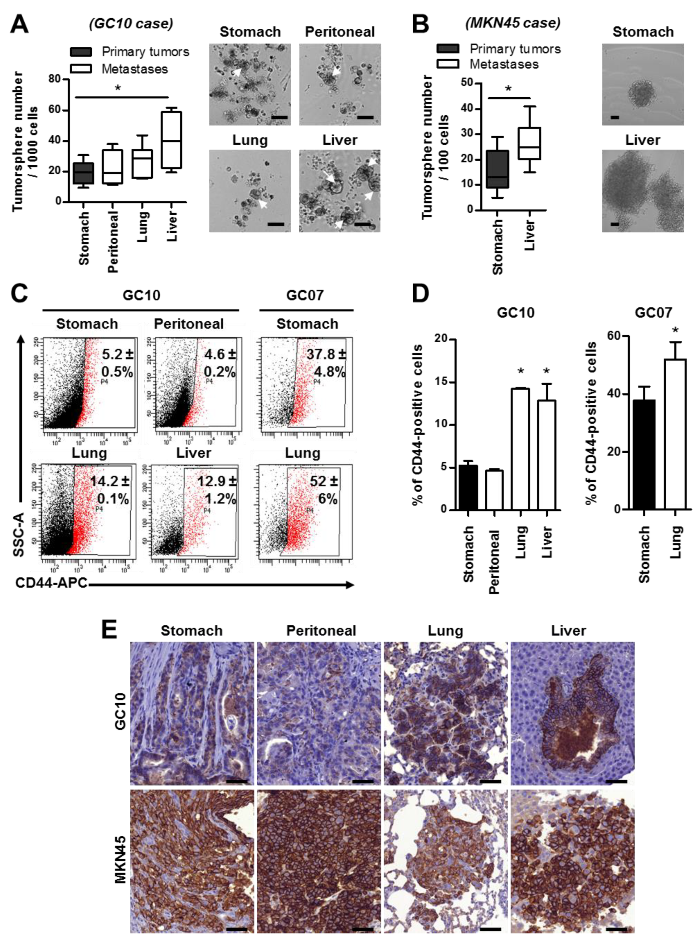 Cancers 11 00560 g003
