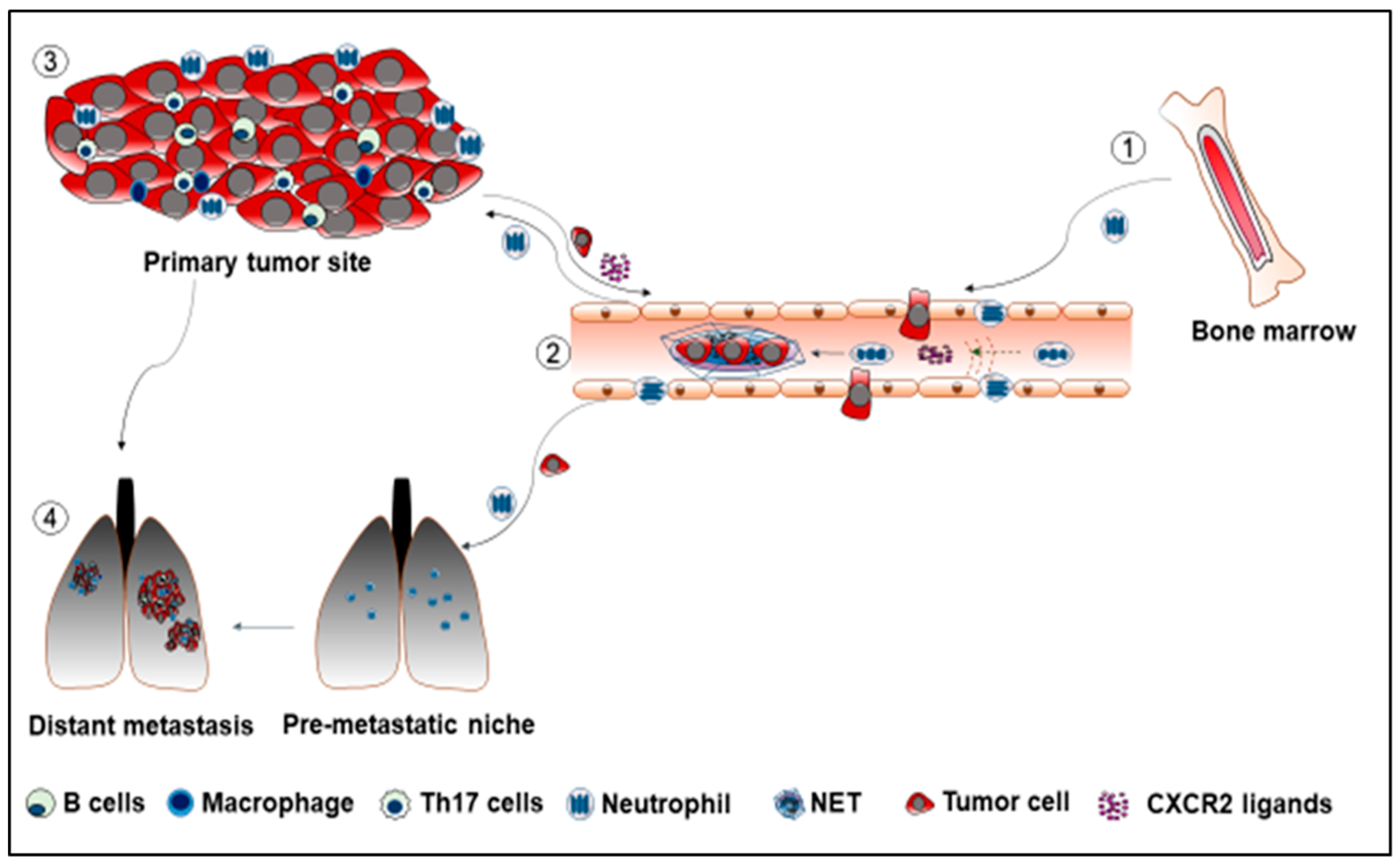 how to diagnose subcutaneous emphysema