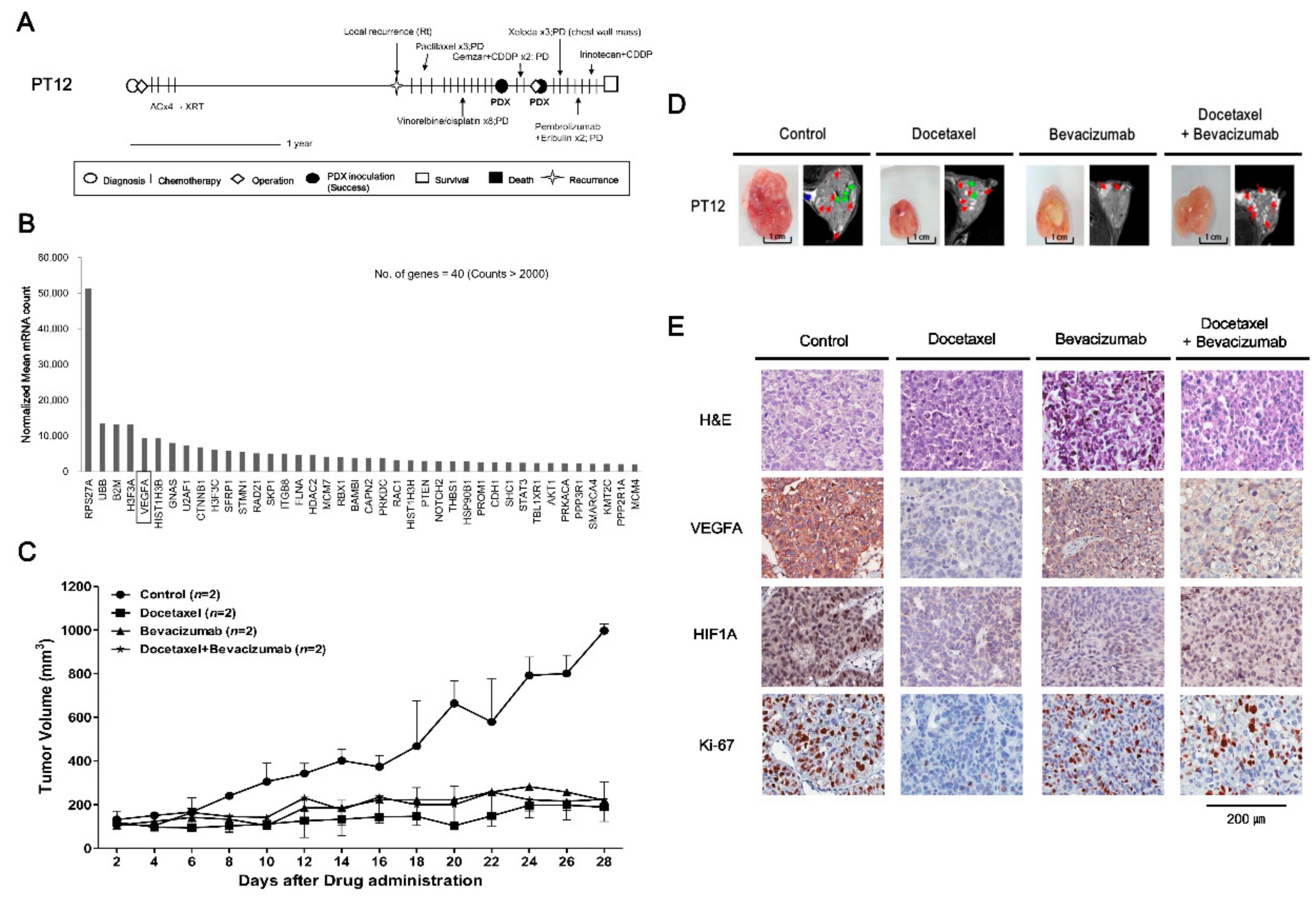 Cancers 11 00574 g003