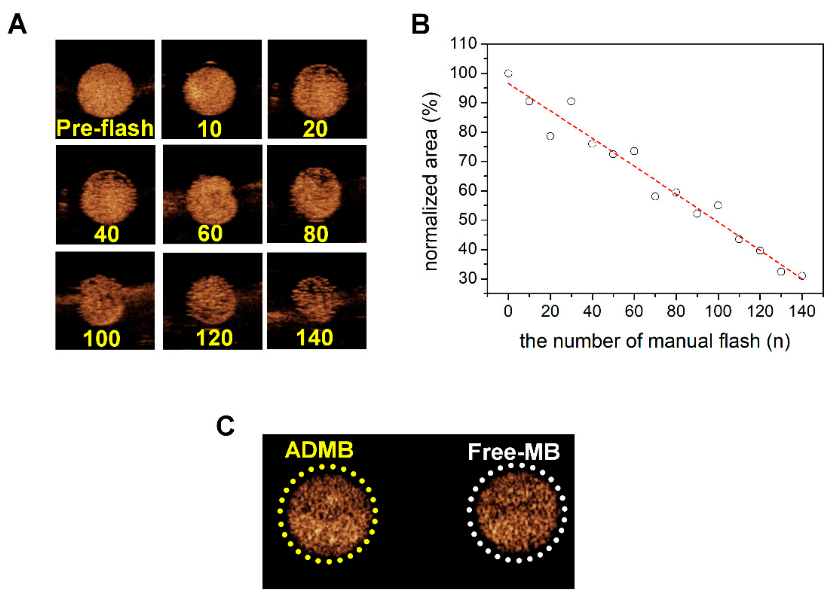 Cancers 11 00581 g003