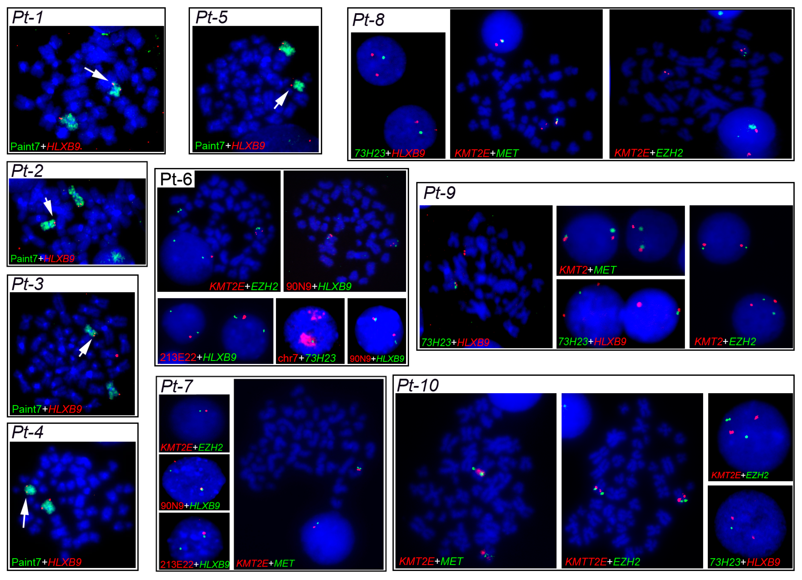Cancers 11 00585 g004
