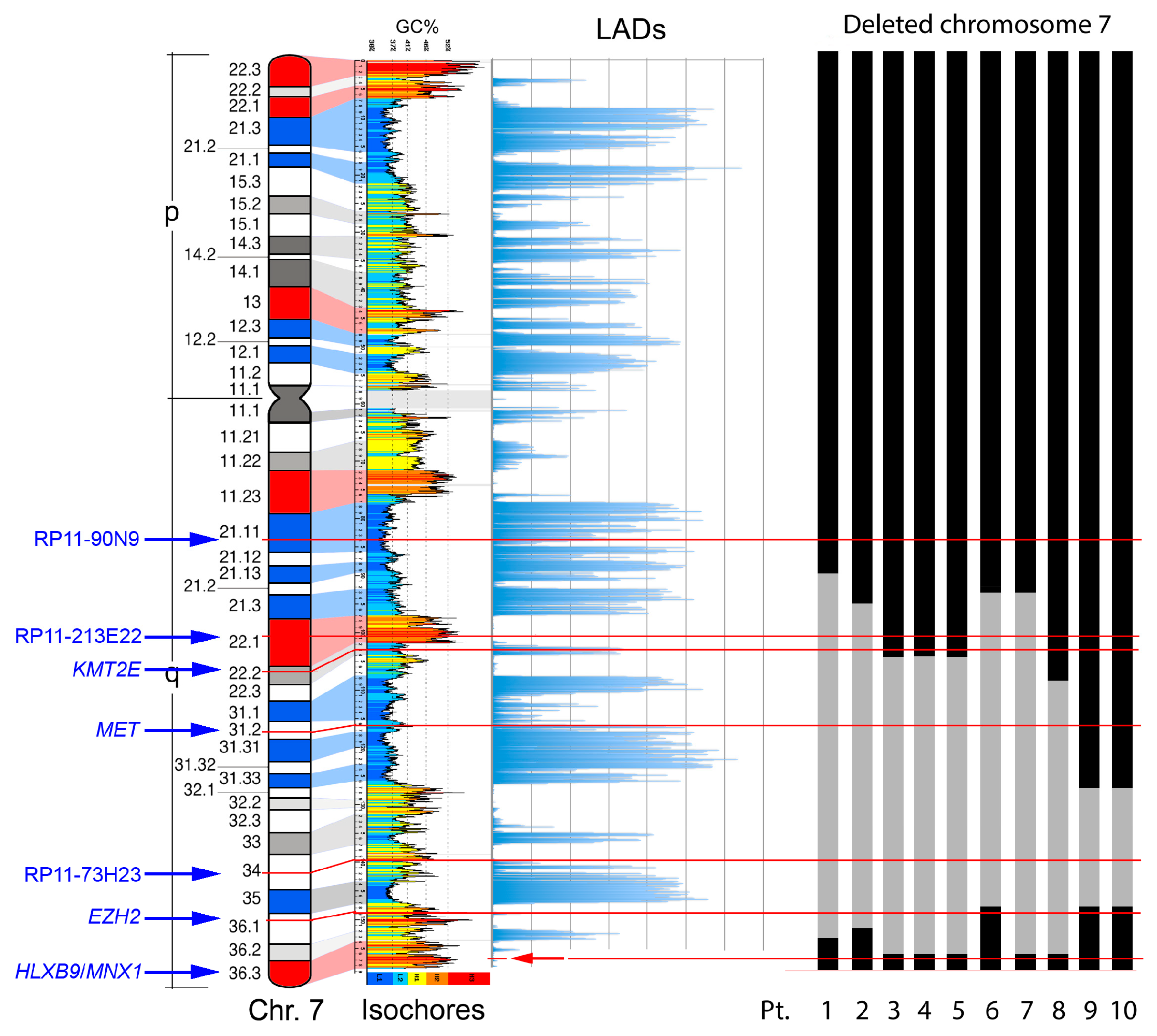 Cancers 11 00585 g005