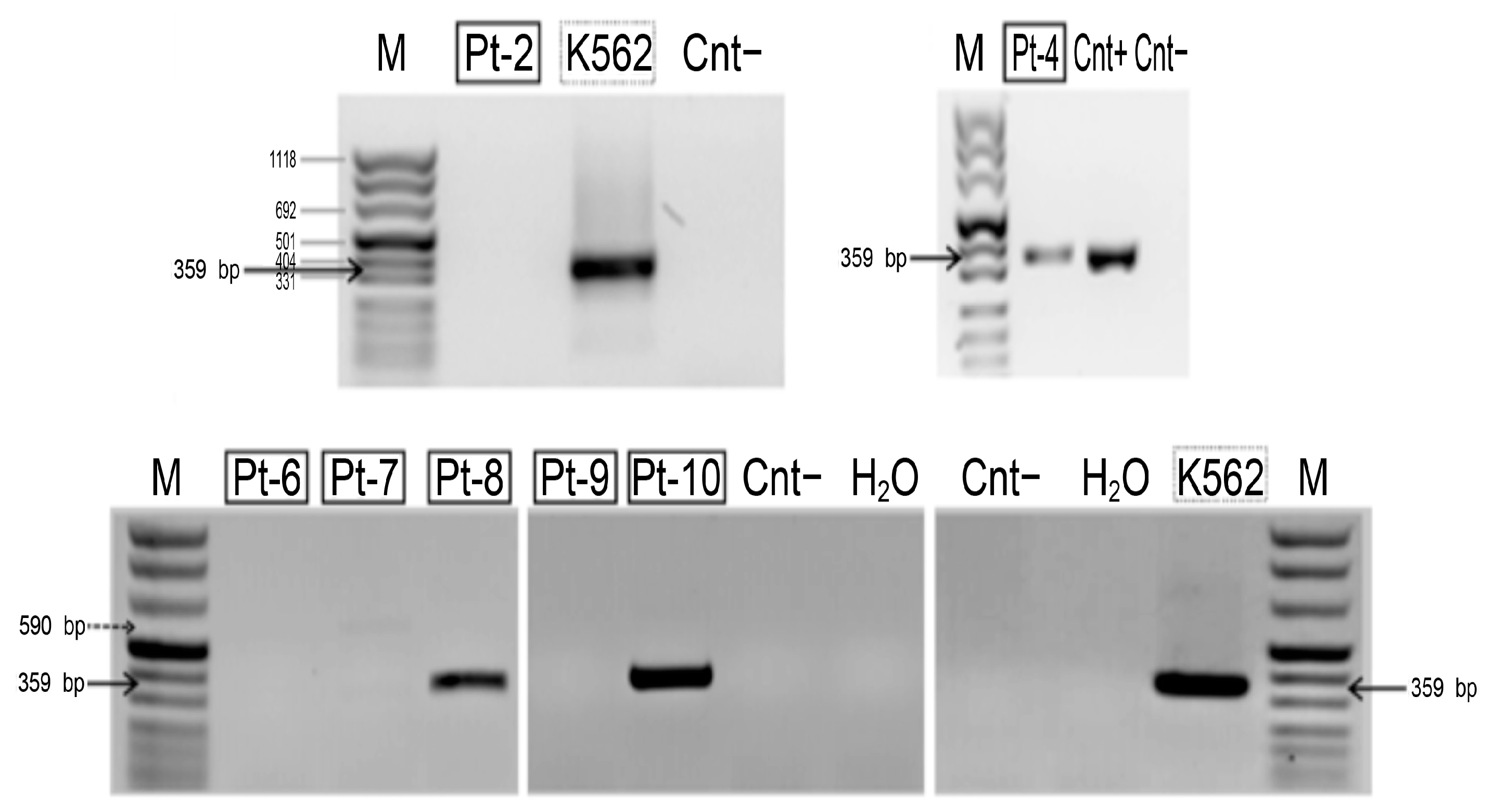 Cancers 11 00585 g007