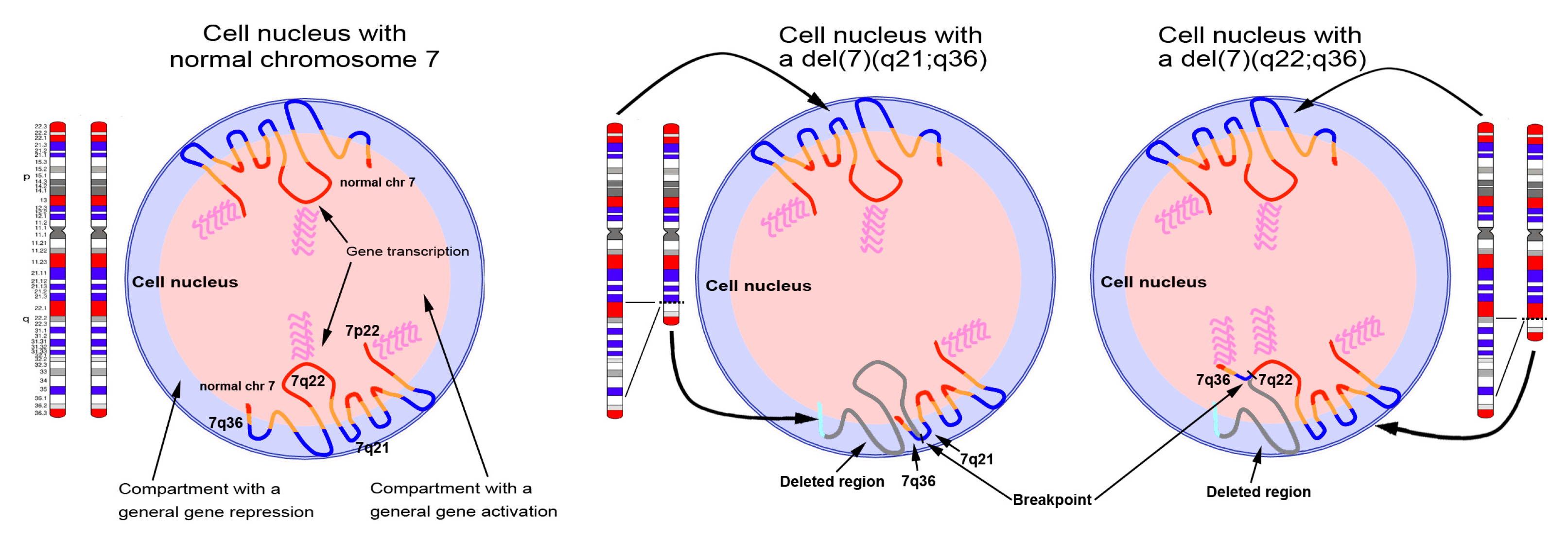 Cancers 11 00585 g008